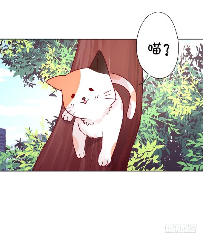 情敌还是朋友？(1/2)-第7话