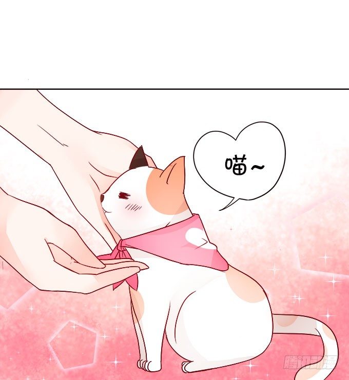 情敌还是朋友？(1/2)-第7话