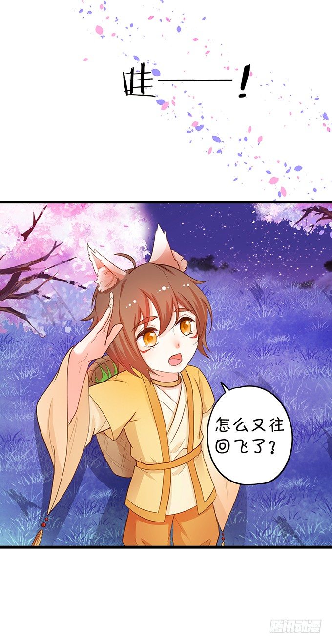 比武大战的阴谋！(1/2)-第75话