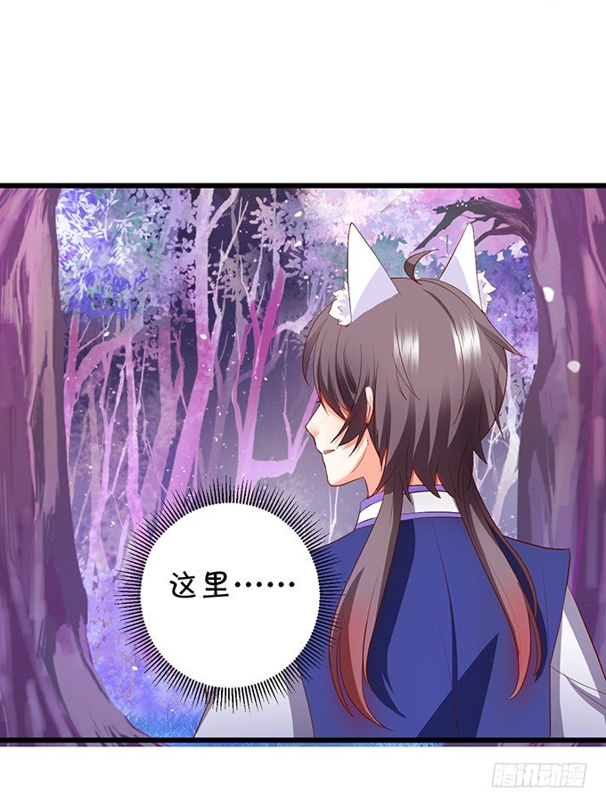 谁敢动我战神的人！(1/2)-第77话