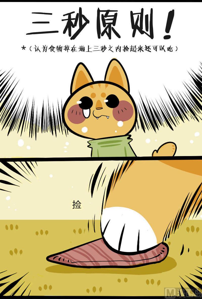 第3话 寿司-第3话