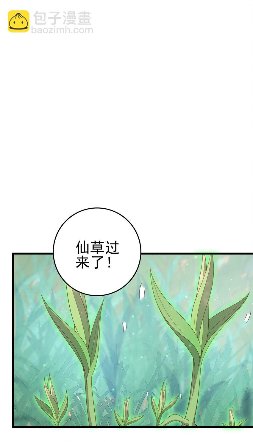 051 赤焰红槿-第53话