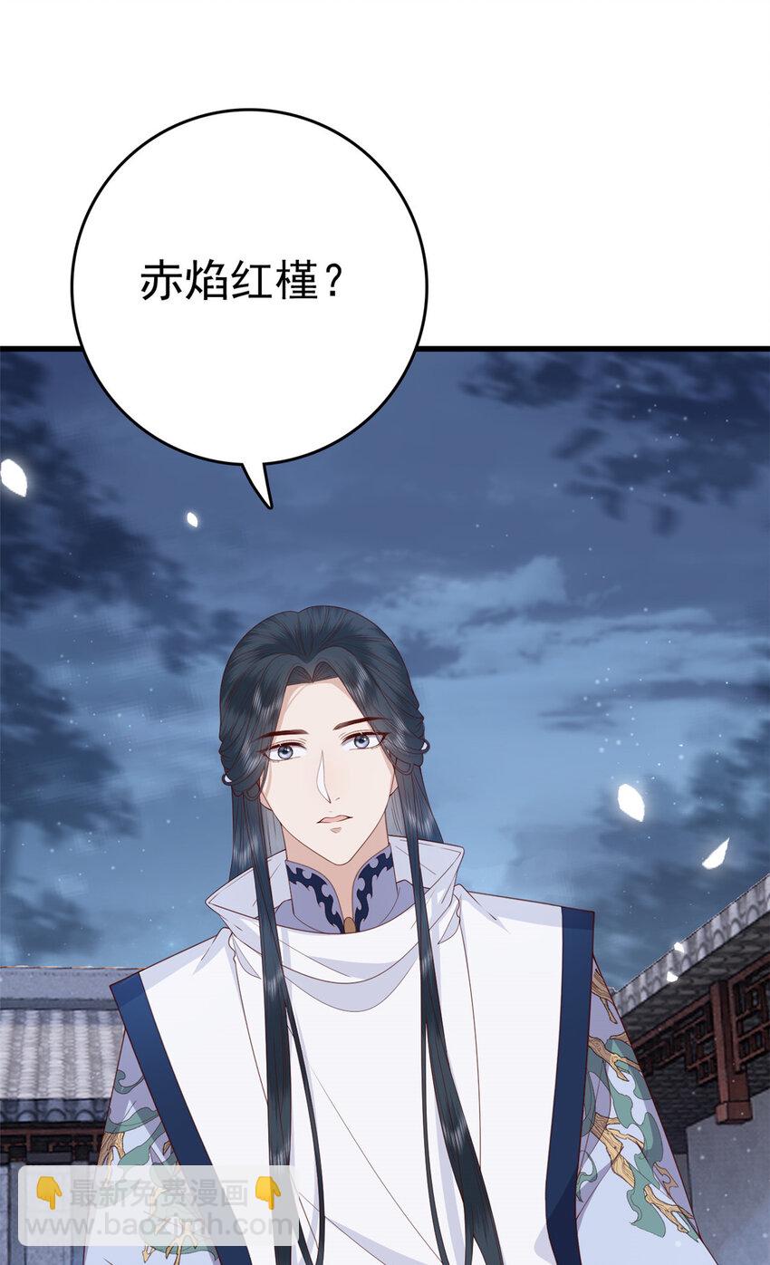 051 赤焰红槿-第53话