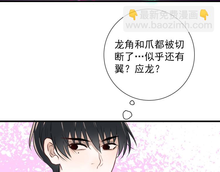 第31话 龙尸(1/2)-第31话