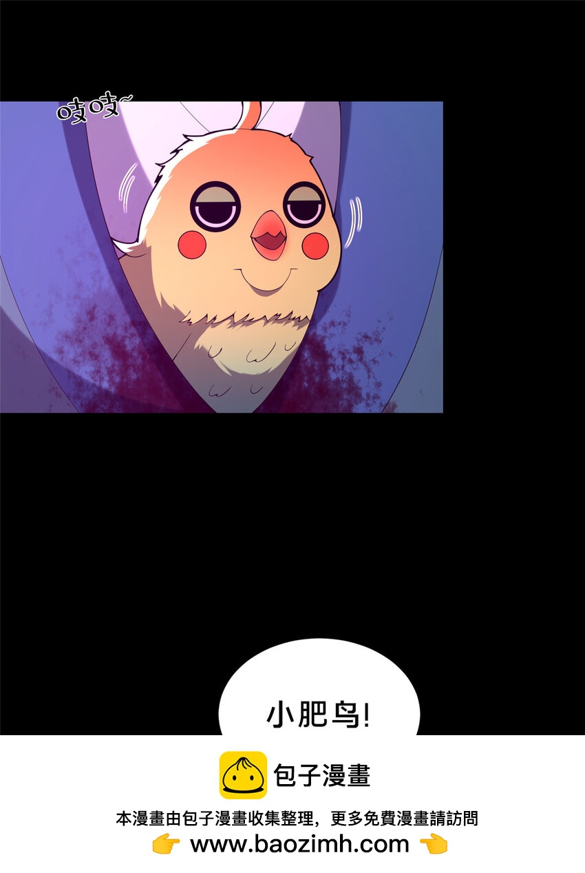 36 鬼乌猴王(1/2)-第37话