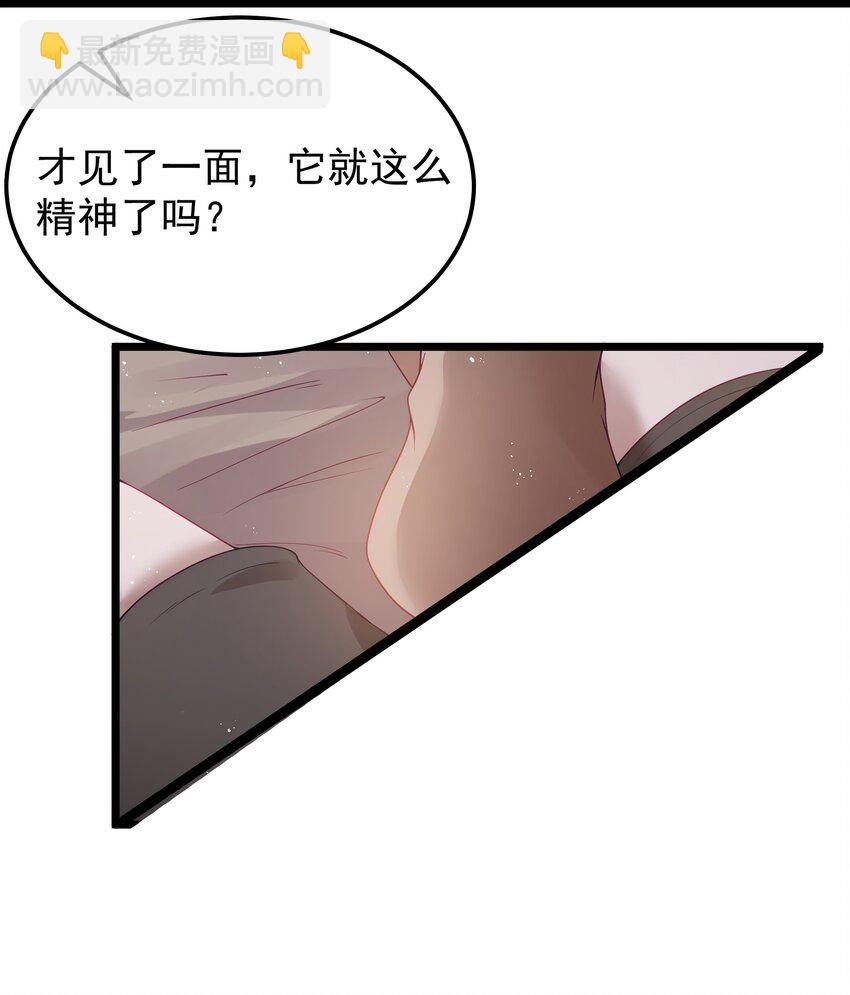 第63话 西索尔女人的性格（猎羽季篇）(1/2)-第73话