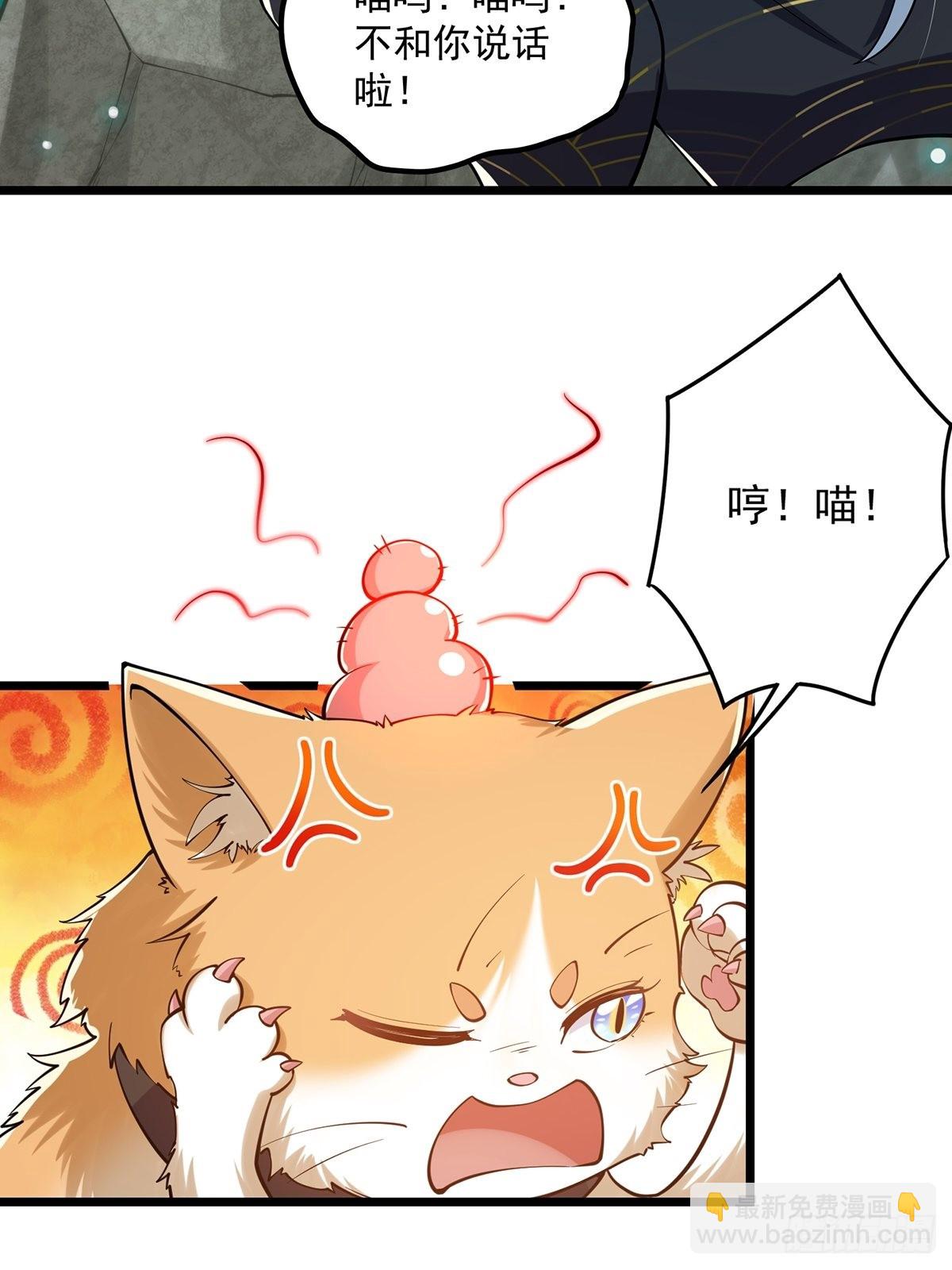 017 撸猫真的有毒(1/2)-第19话