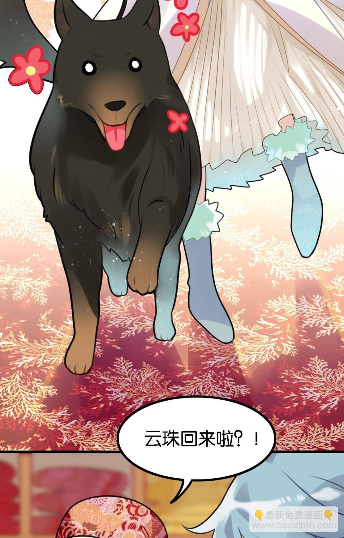走错帐篷的熊先生-第3话