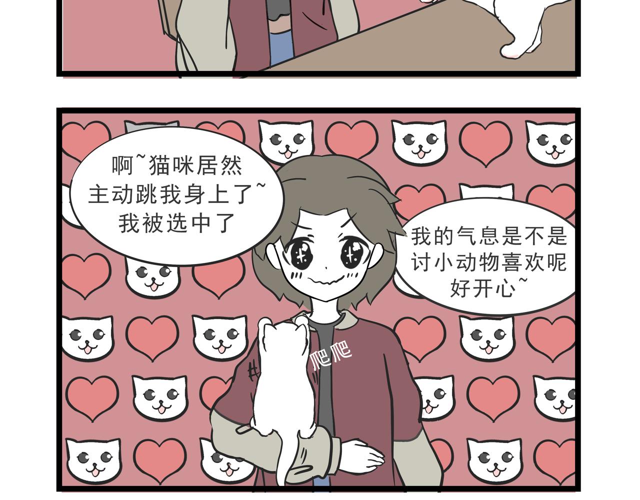 🍲这居然是校园日常 9  撸猫 第11页