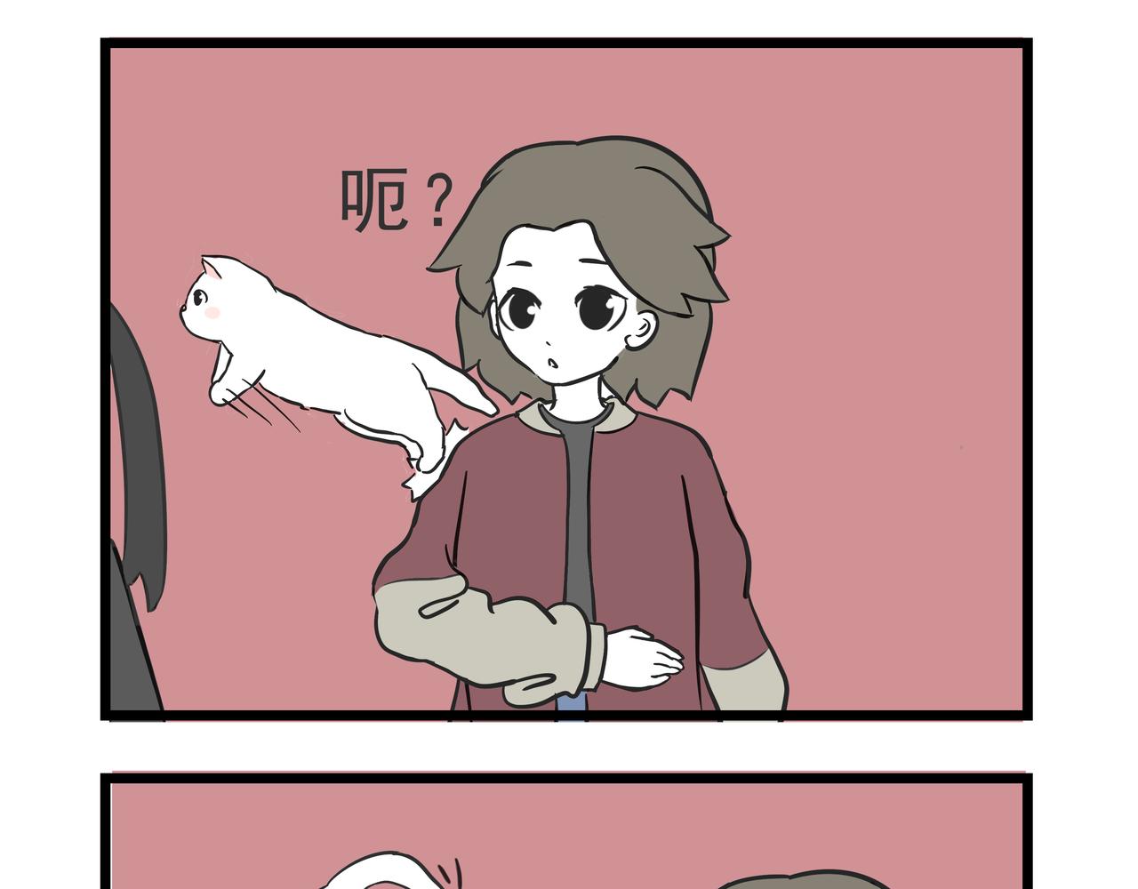 🍲这居然是校园日常 9  撸猫 第12页