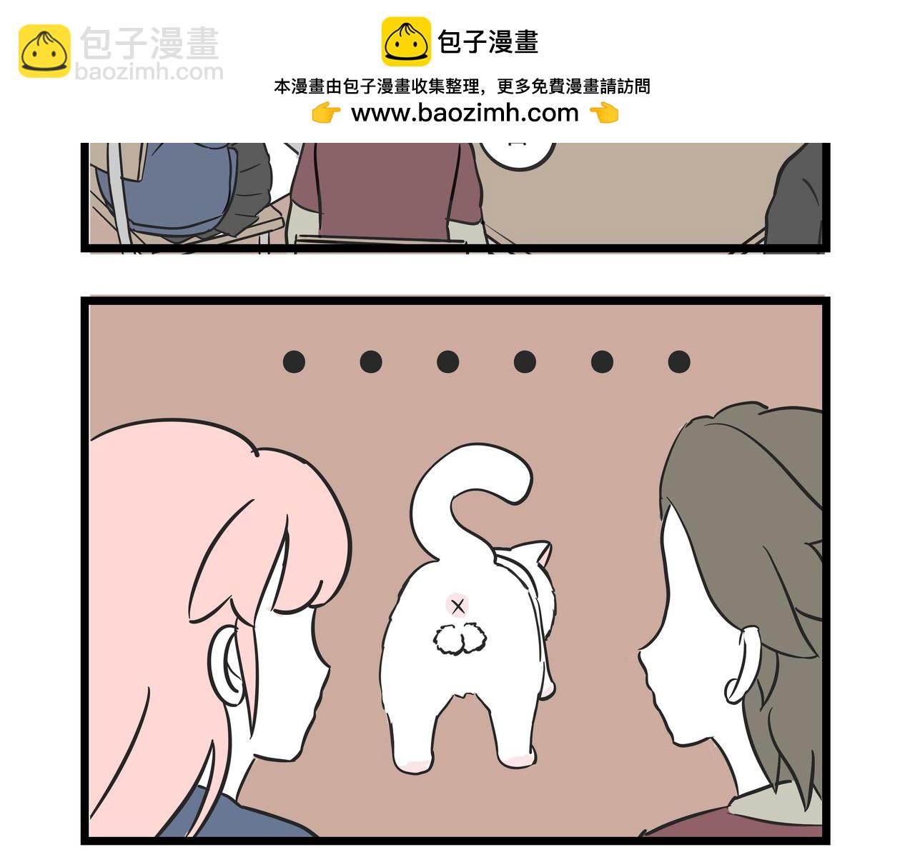 🍲这居然是校园日常 9  撸猫 第2页