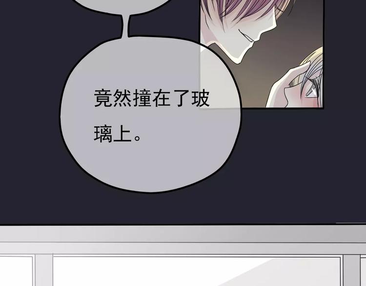 第4话 三个月有限恋爱(1/3)-第5话