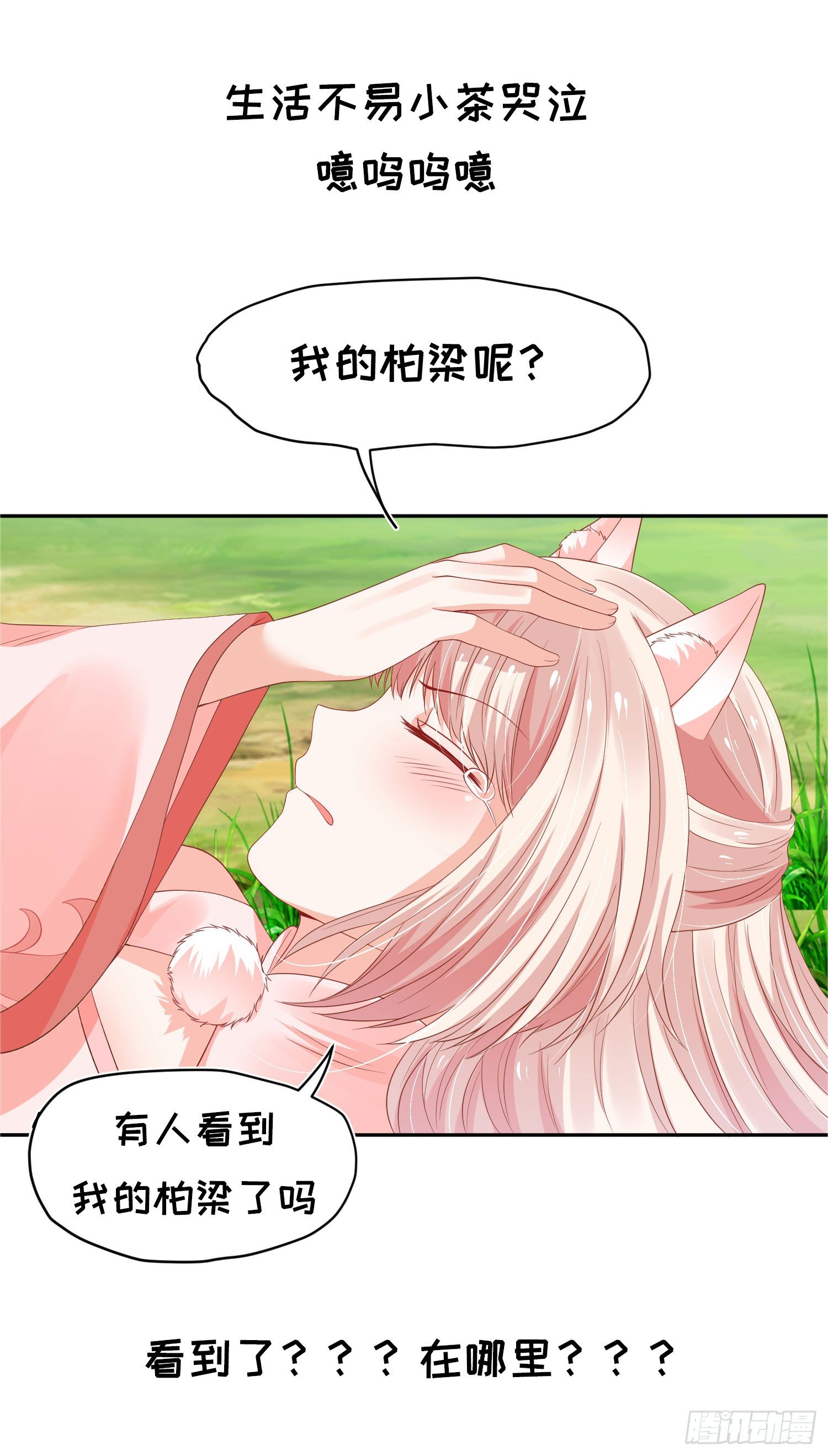 狐小茶的碎碎念-第45话