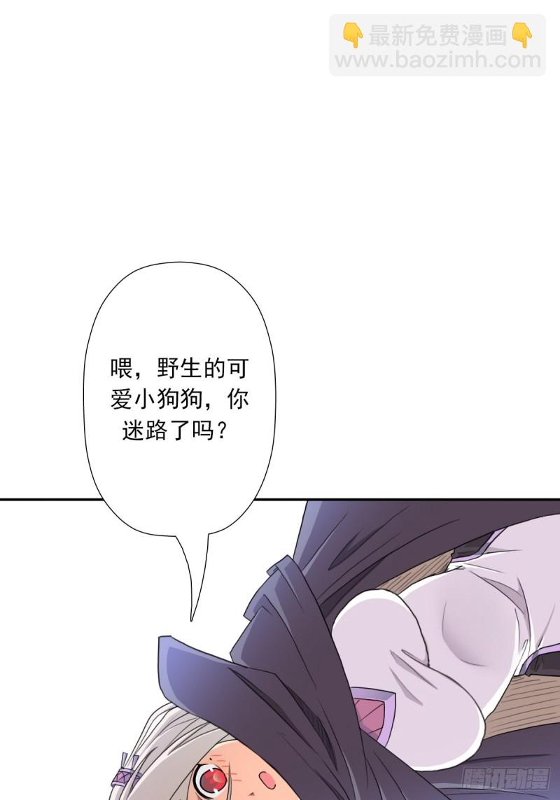 （第二季）野生的小狗狗-第169话