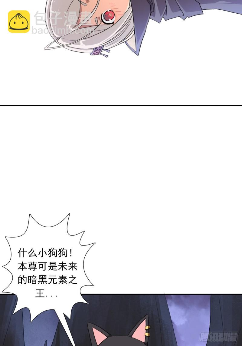 （第二季）野生的小狗狗-第169话