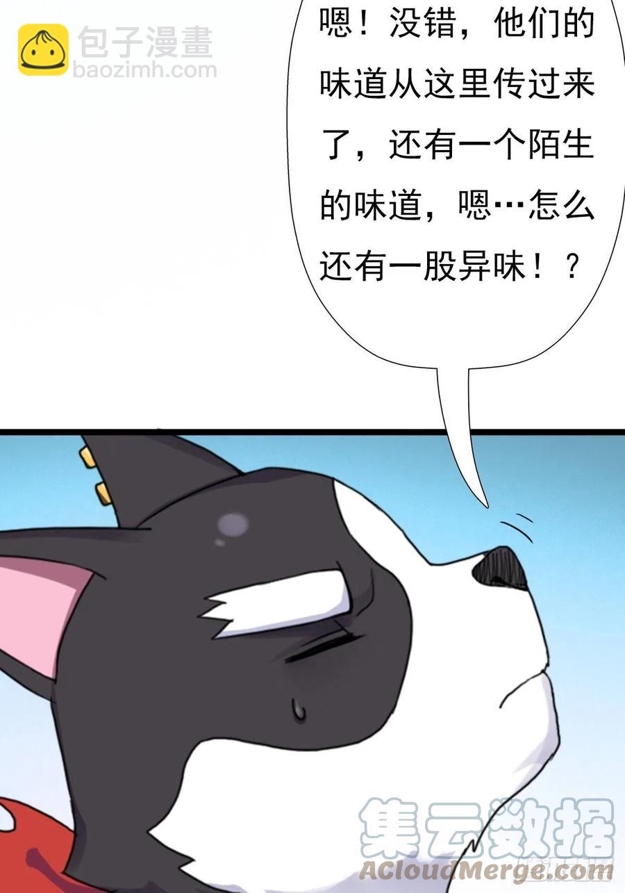 （第二季）这里是什么球？(1/2)-第197话