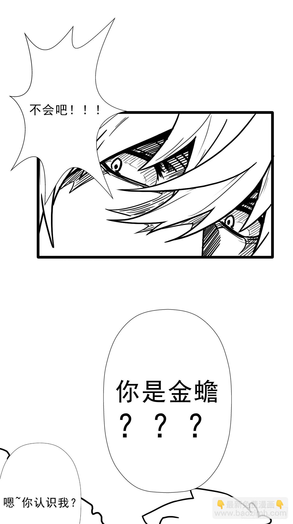 （终结篇）金蟾与小黑(1/2)-第209话