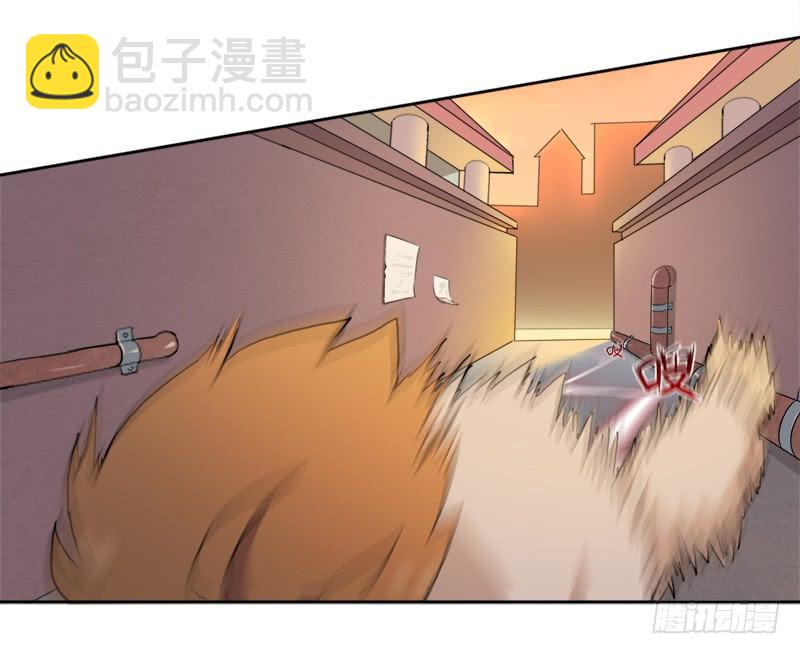 激战(1/2)-第9话