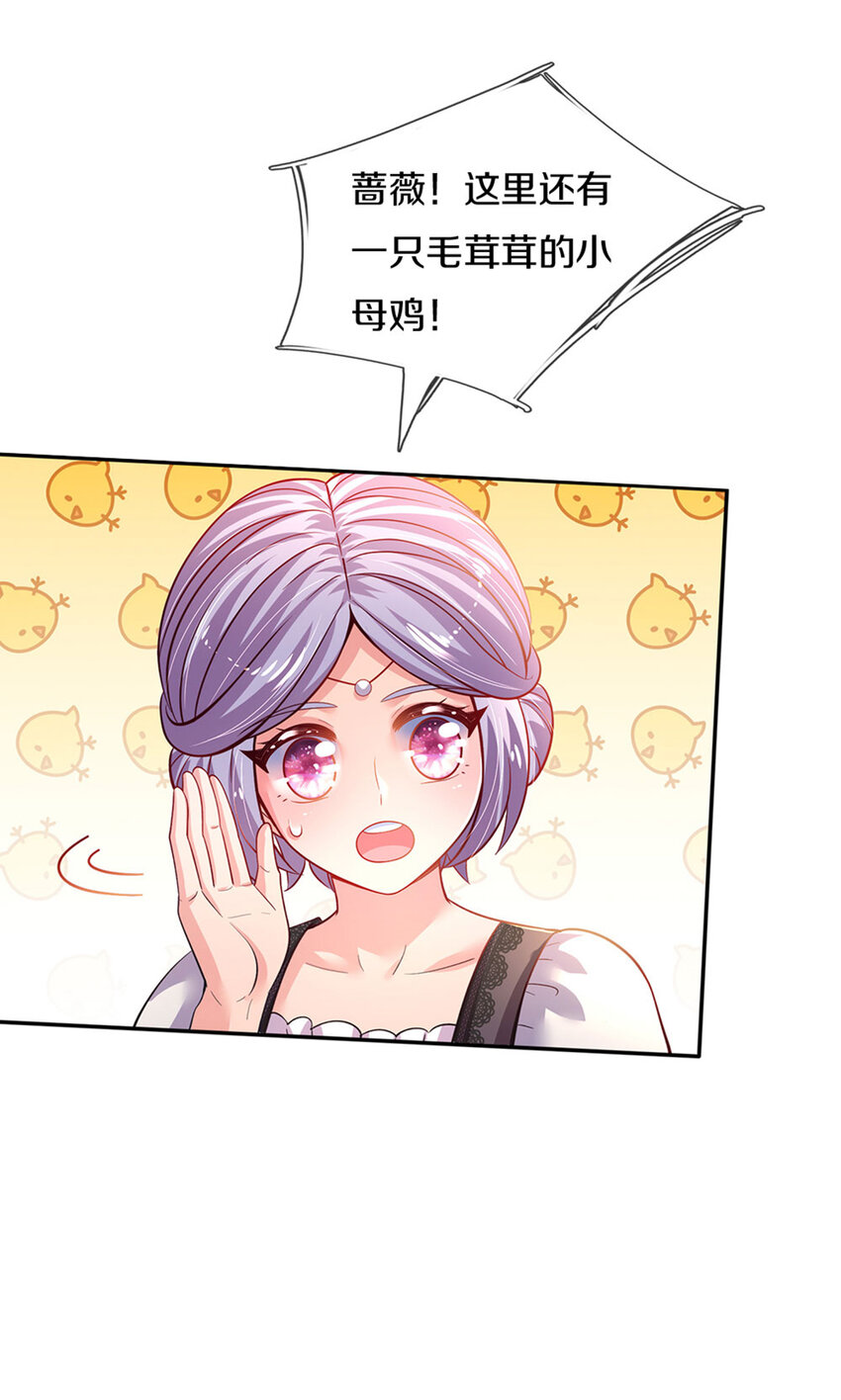 第14话 一只小母鸡-第15话