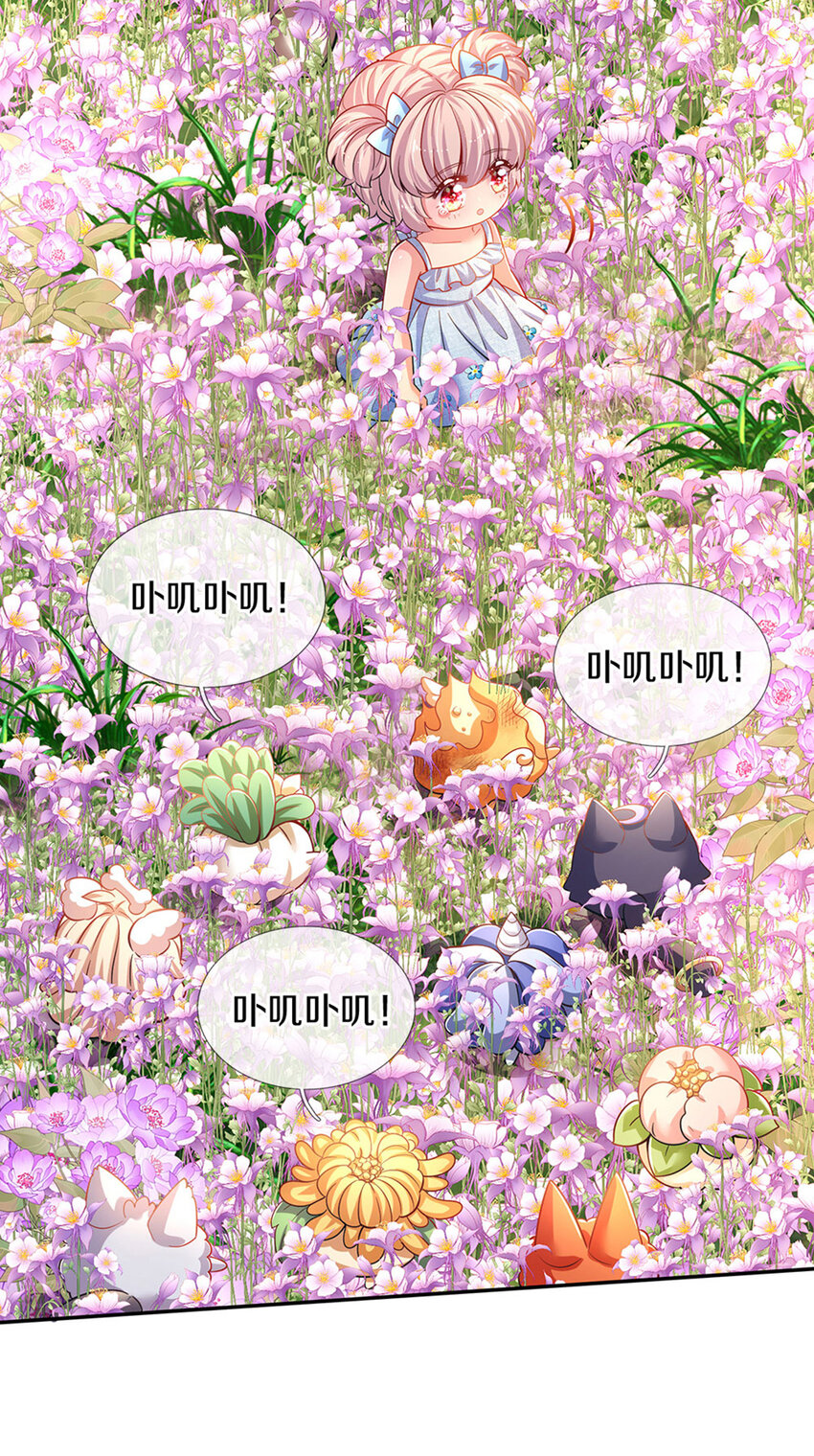 第4话 卟叽卟叽-第5话