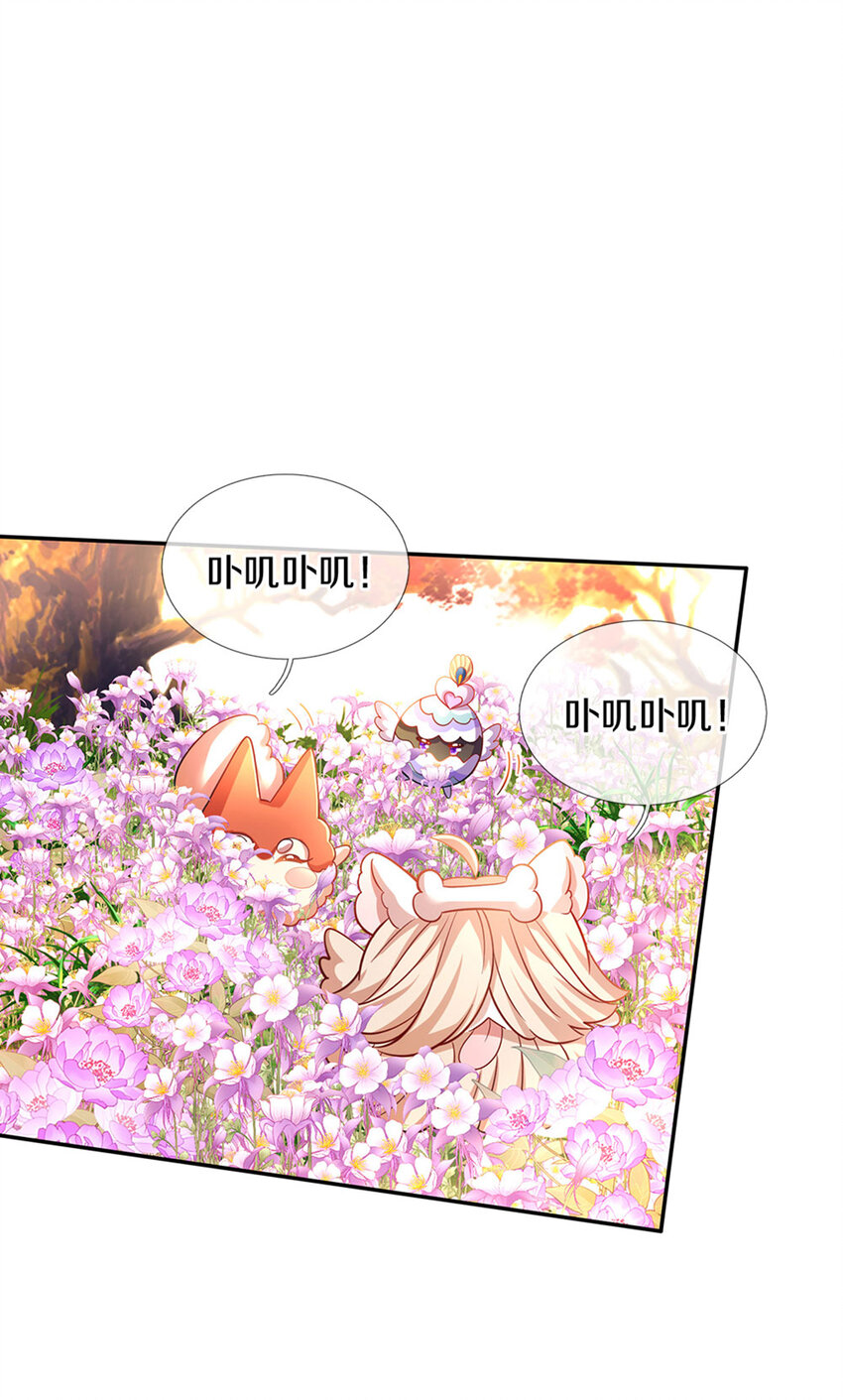 第4话 卟叽卟叽-第5话