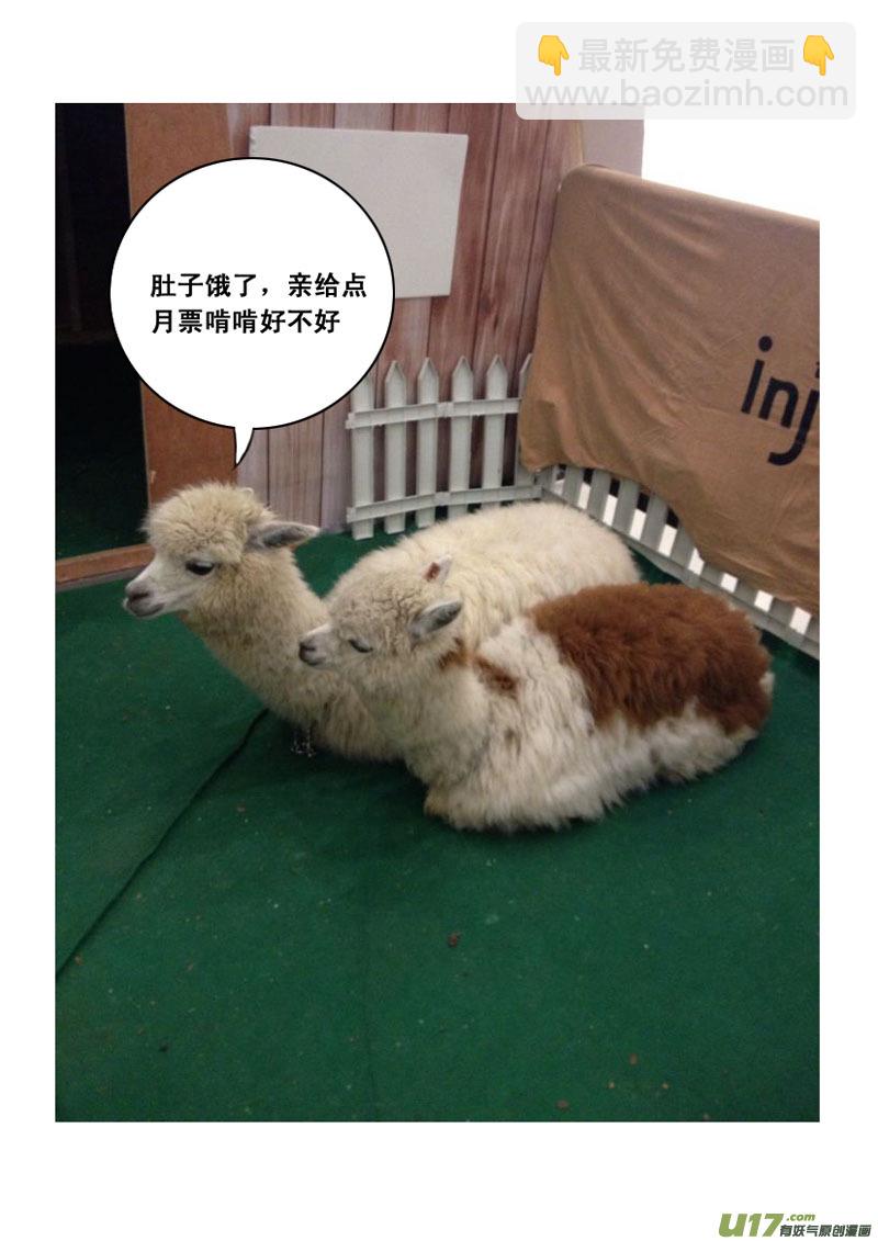 🍲镇魂街 一百零二 伙伴 第14页