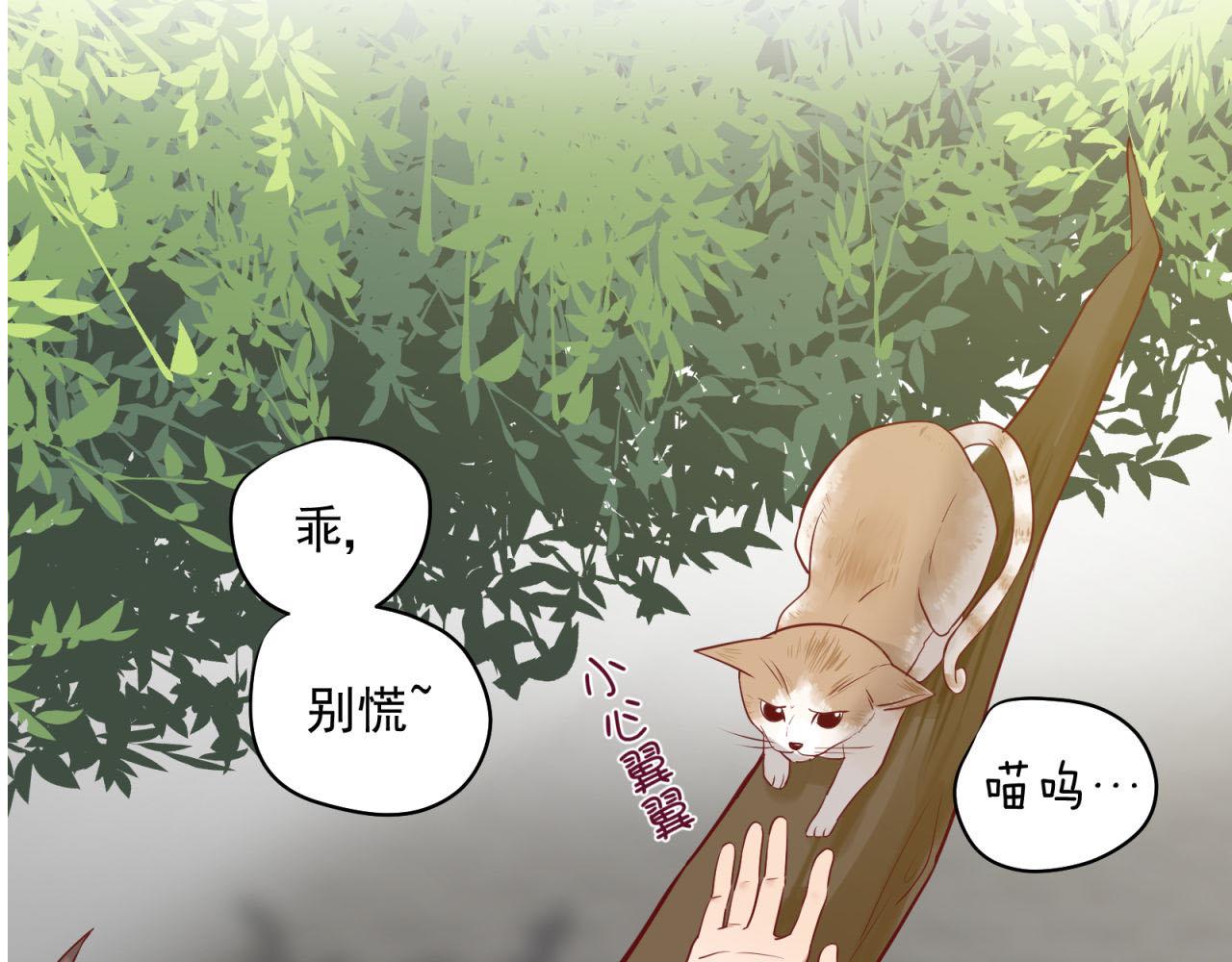 第37话 陌生男人(1/2)-第37话