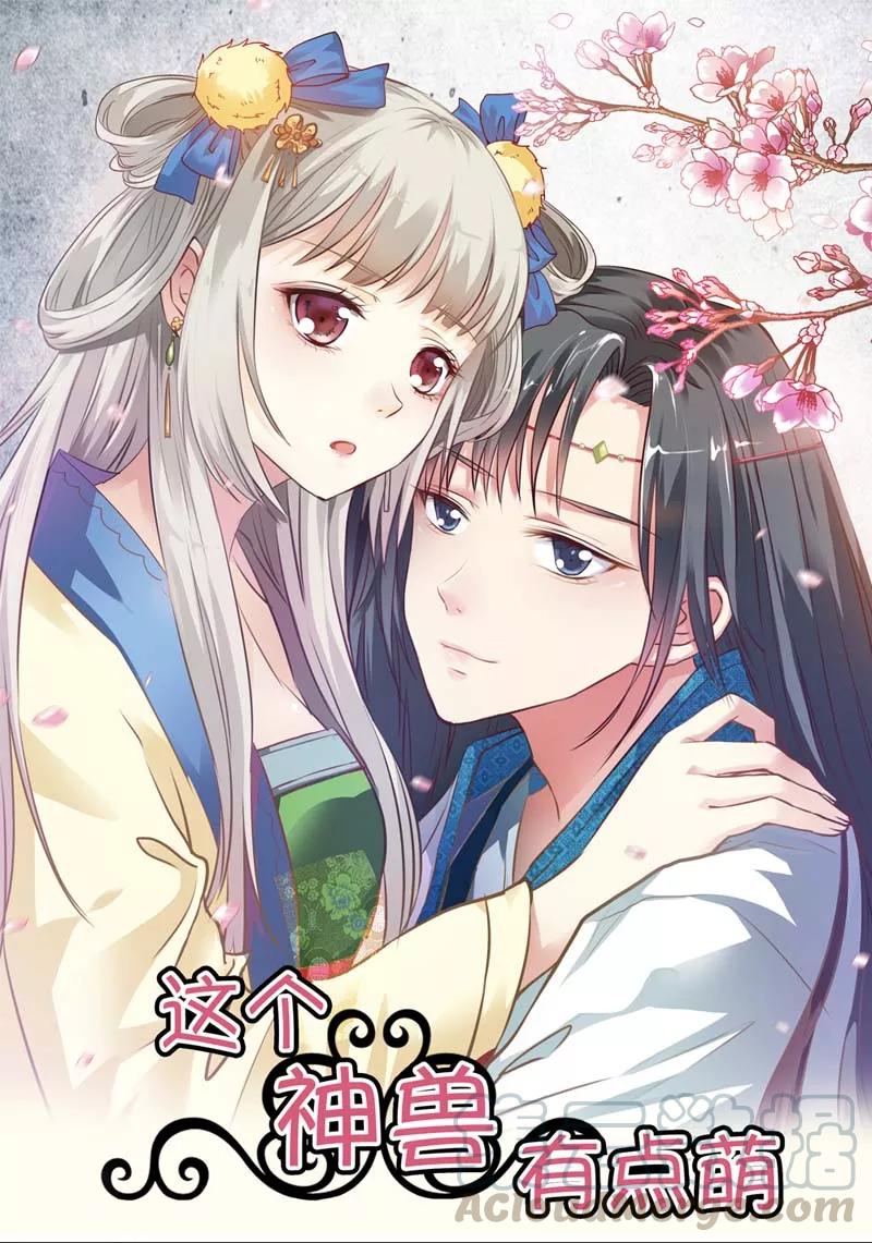 第17话 谁才是第一美男-第19话