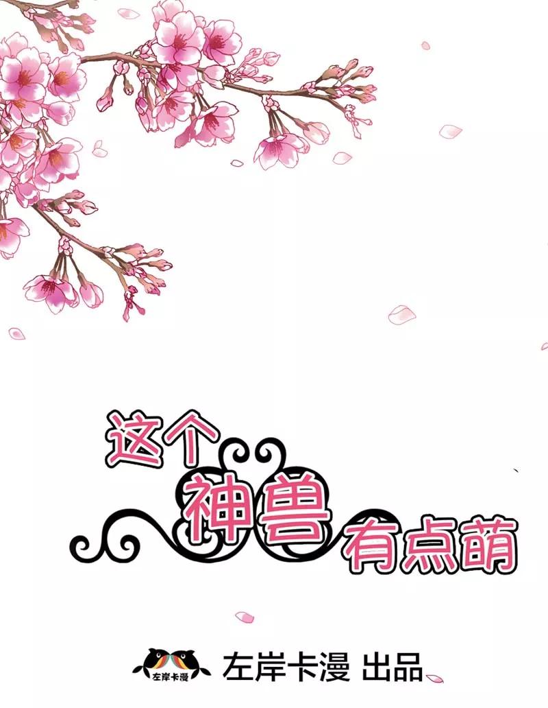 第17话 谁才是第一美男-第19话