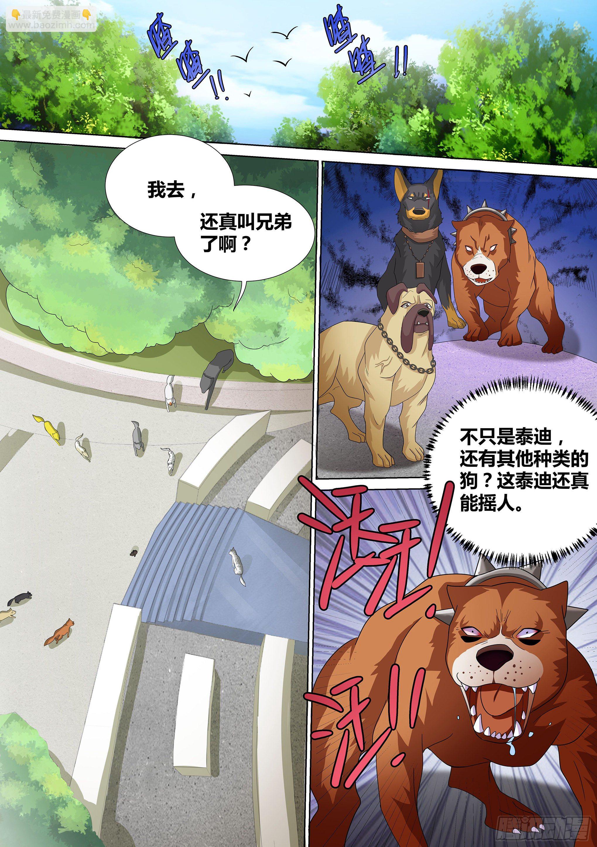 10-无敌狗皇-第11话