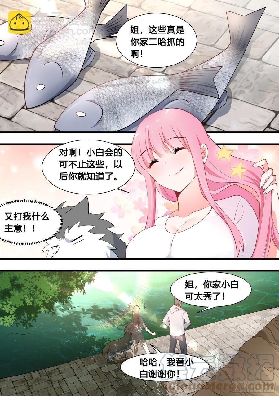100-还得看我家小白-第101话