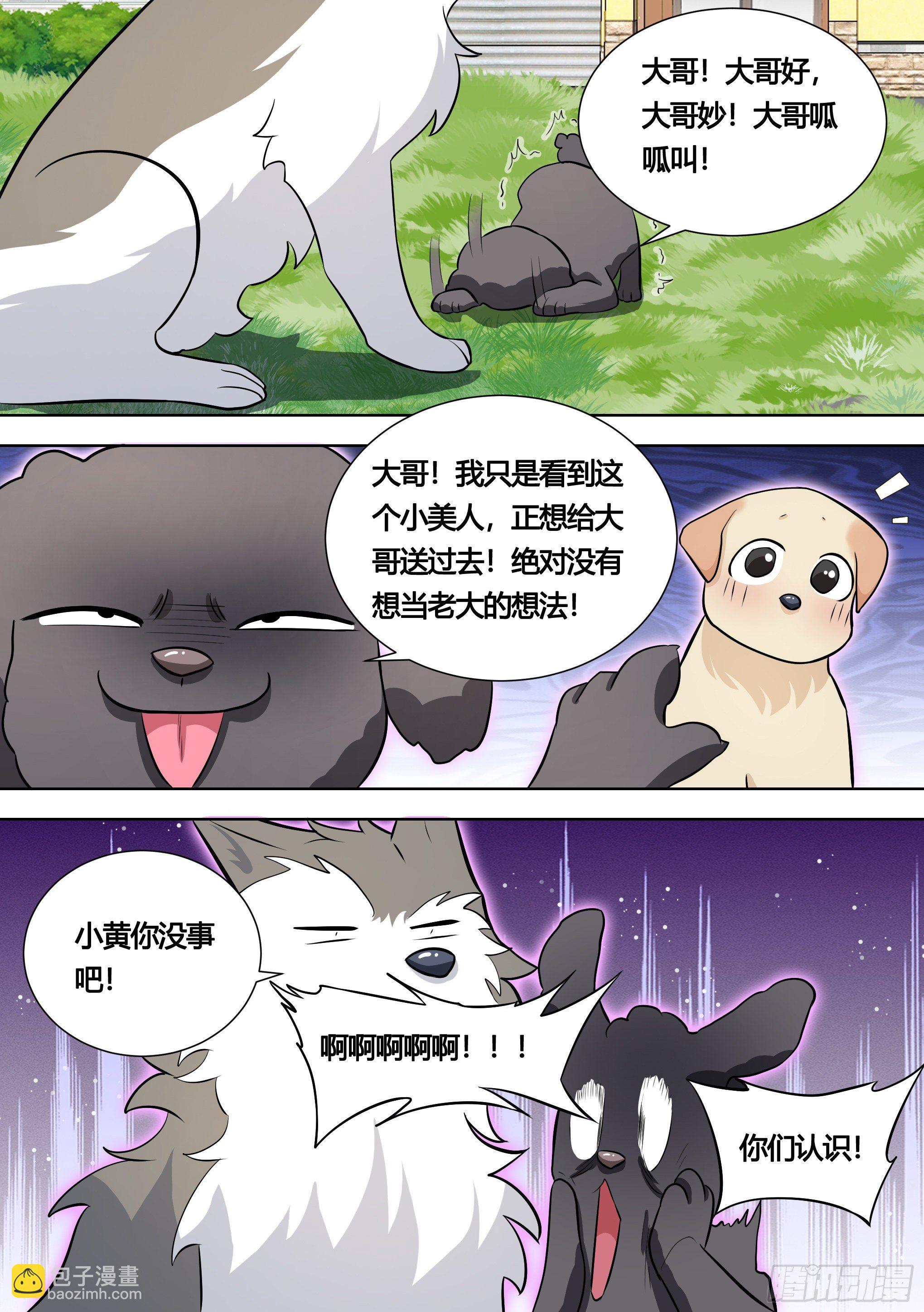 140-关于小黄是个美人的事-第141话
