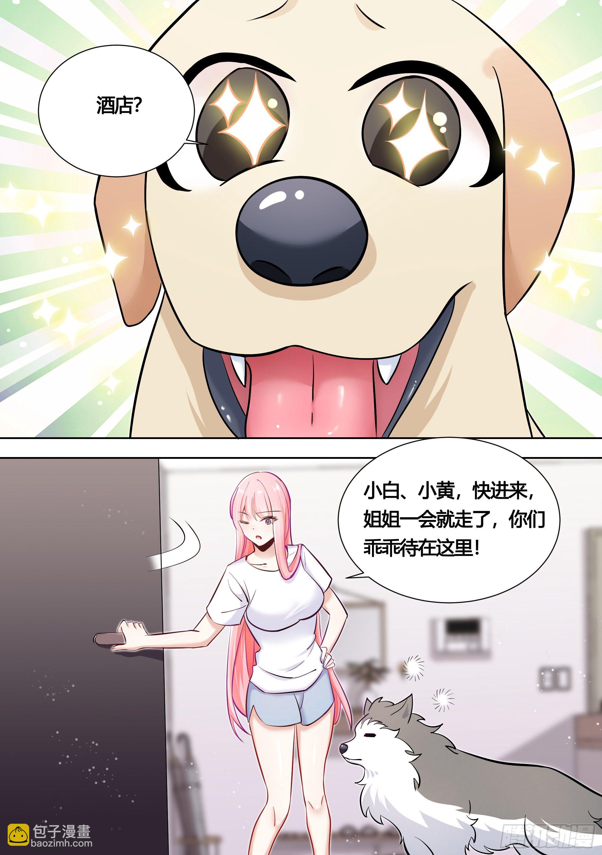 146-带小黄住酒店！-第147话