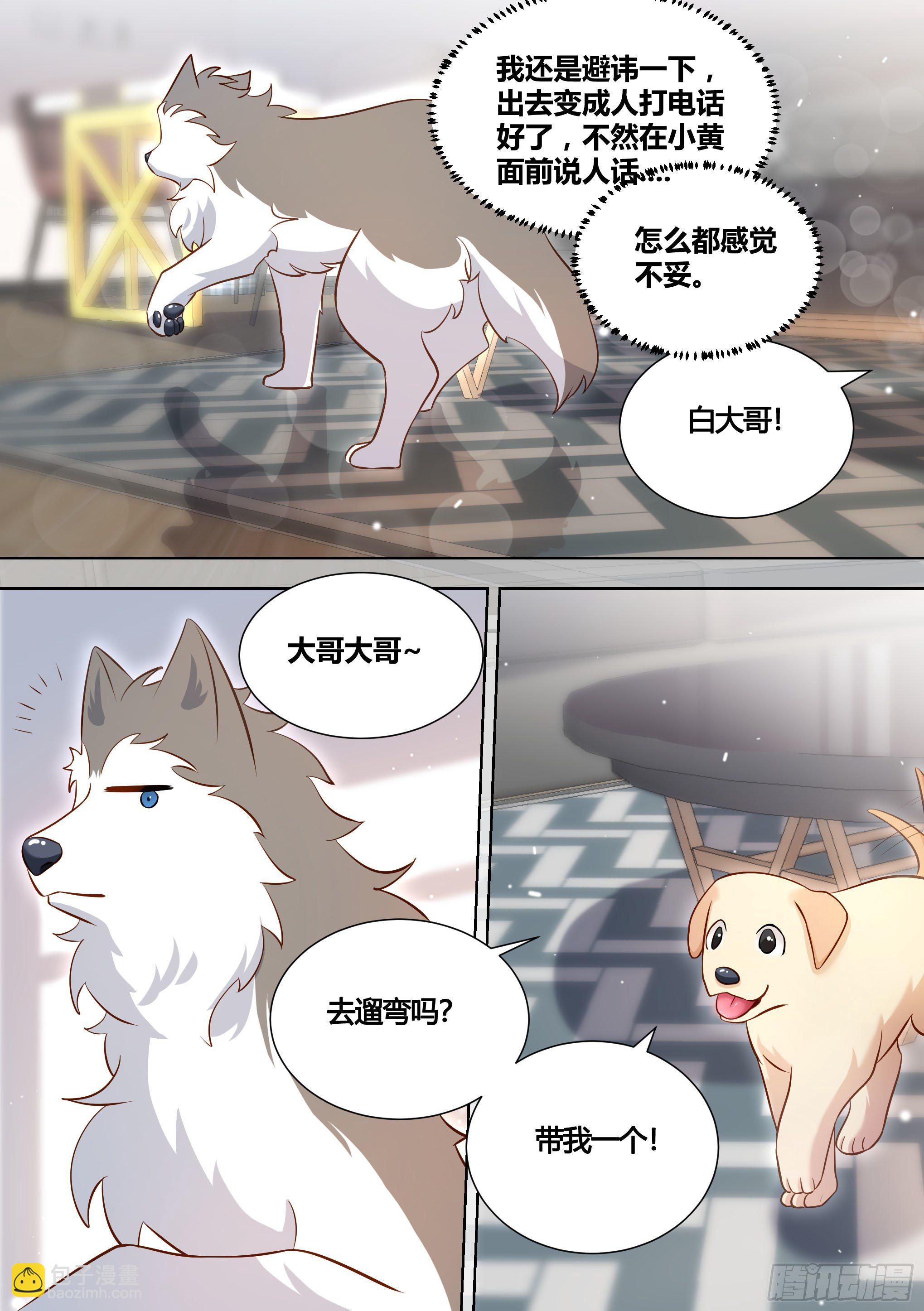 146-带小黄住酒店！-第147话