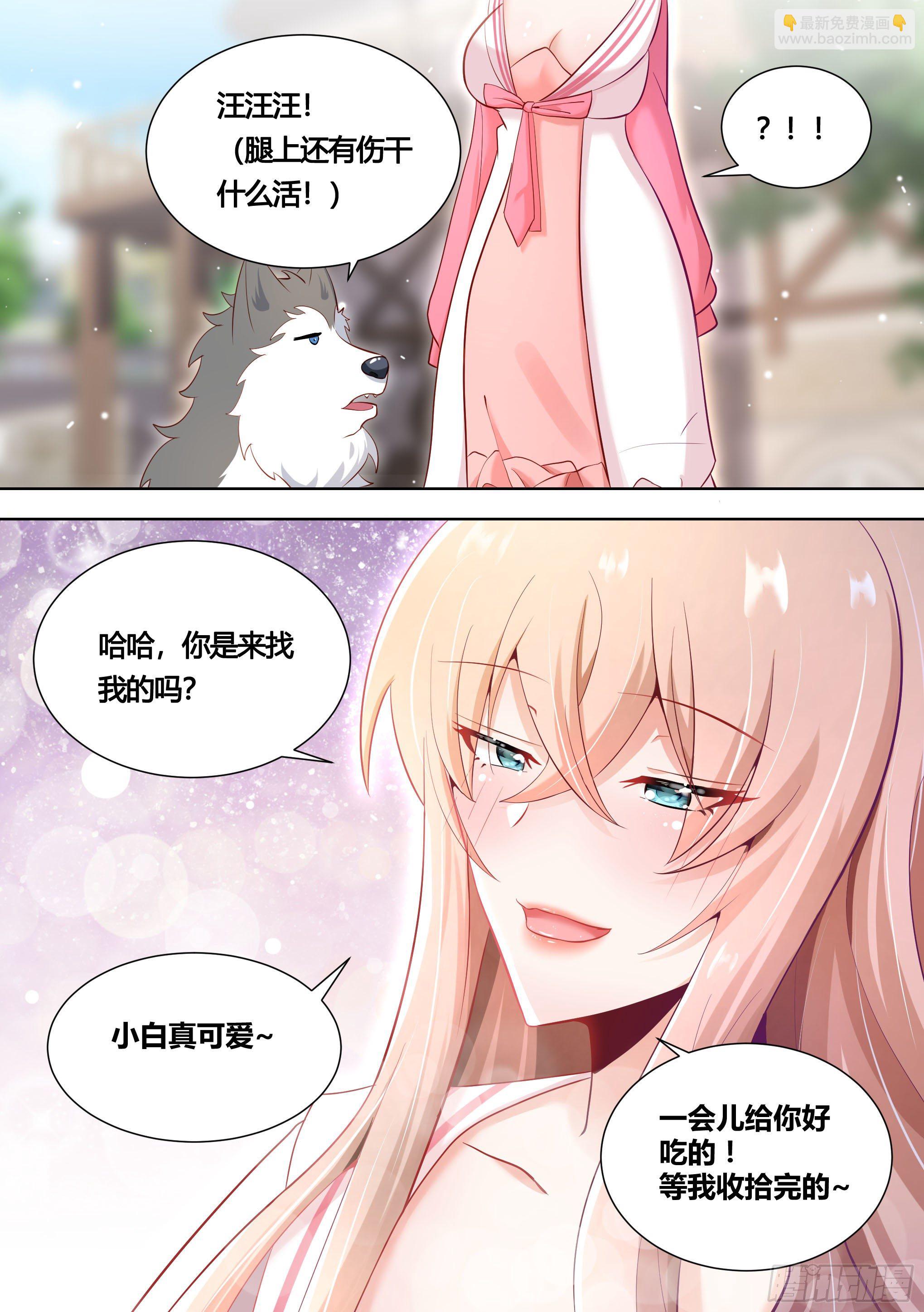 151-这是要开动物园的节奏-第153话