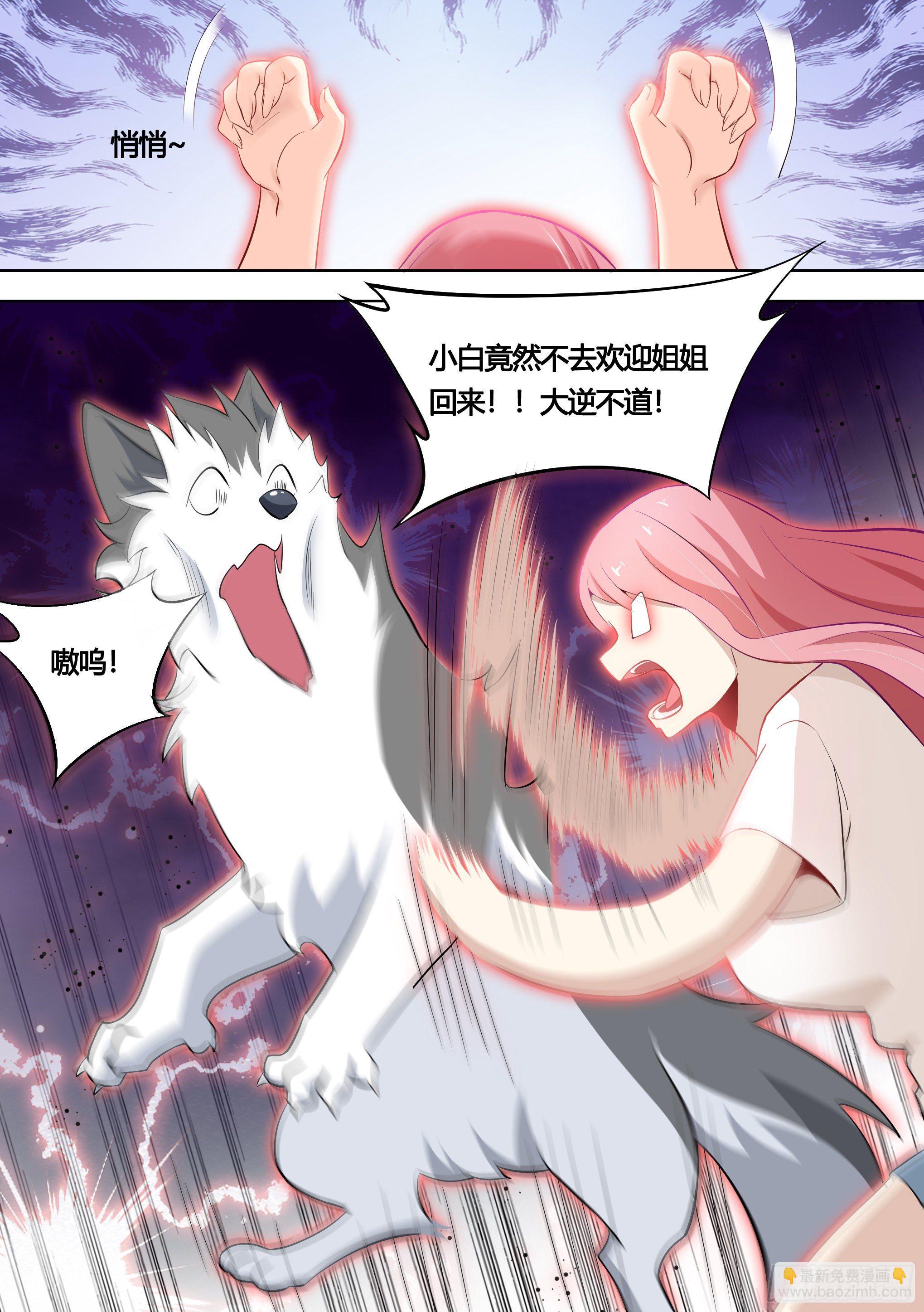 151-这是要开动物园的节奏-第153话