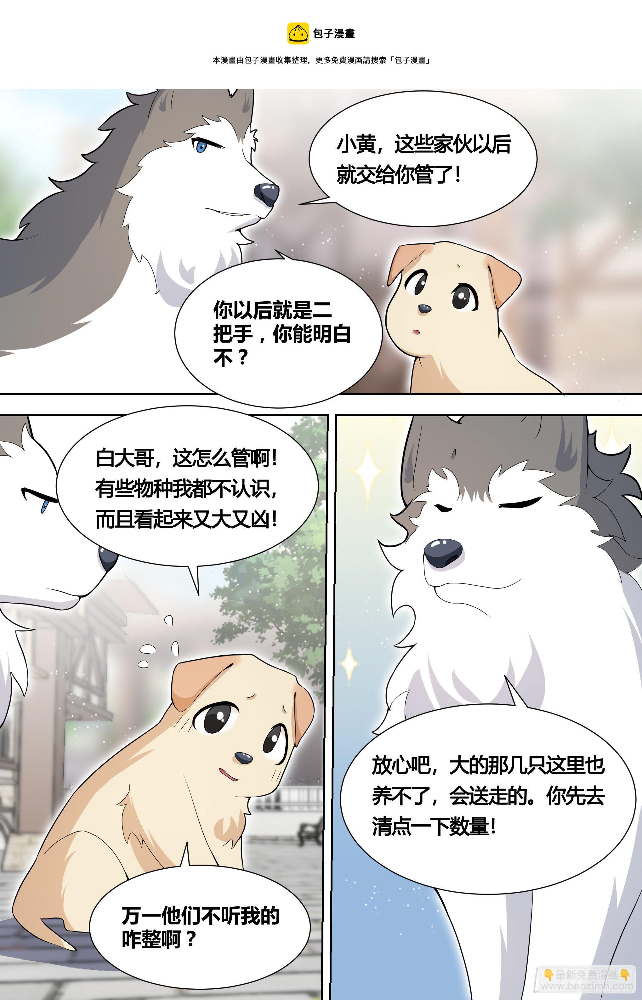 151-这是要开动物园的节奏-第153话