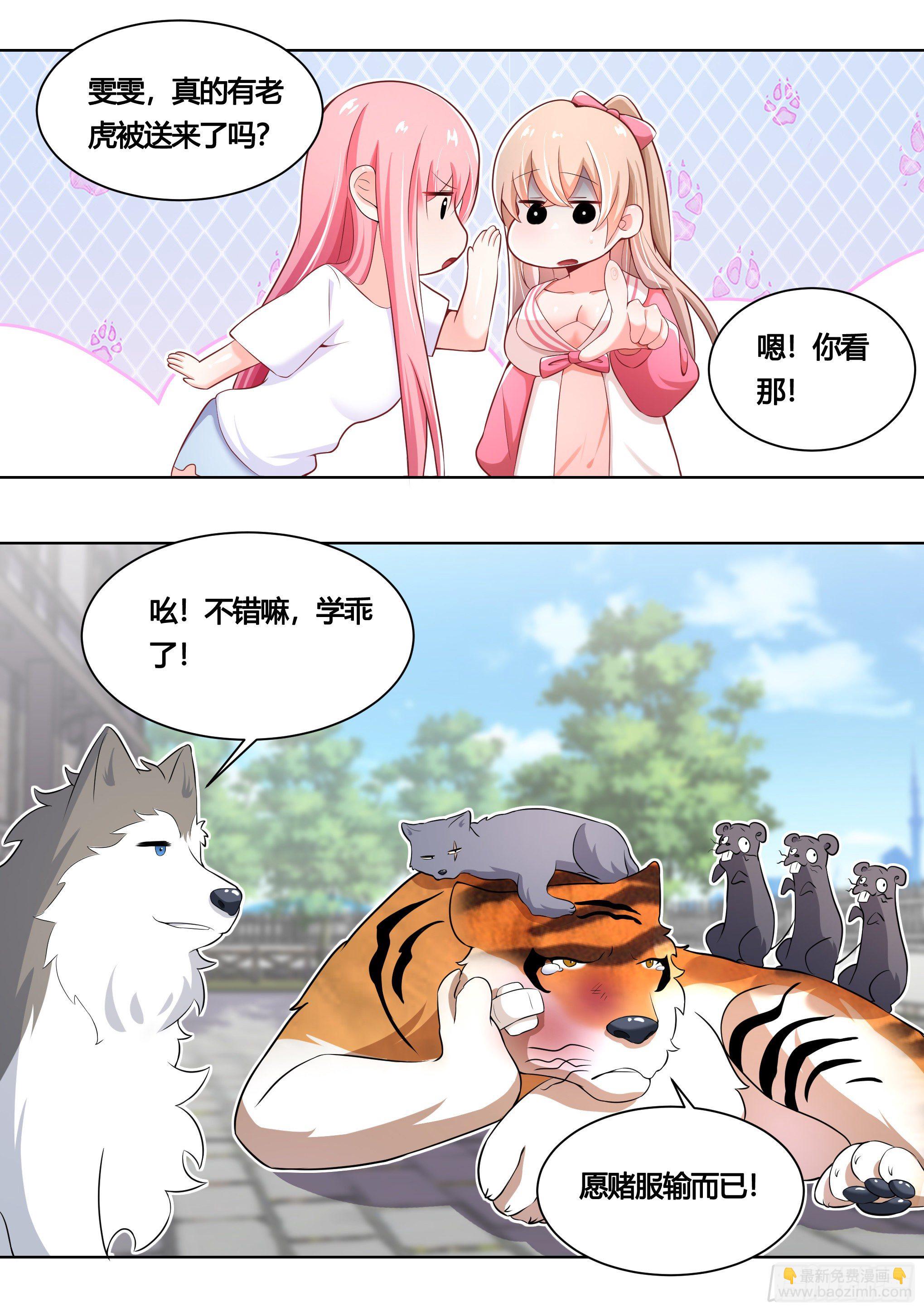 159-愿赌服输-第161话