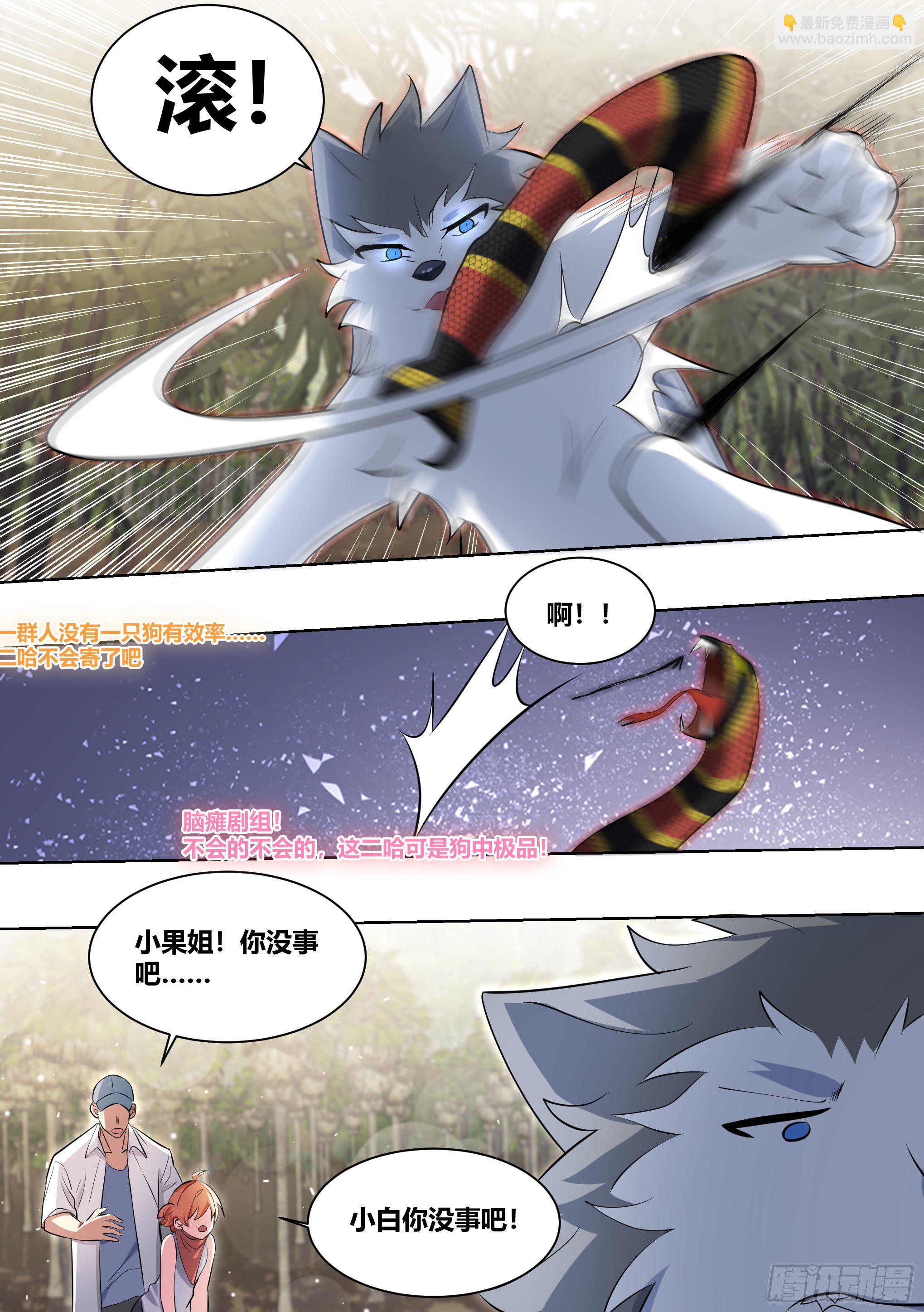 181-全鸡宴-第183话