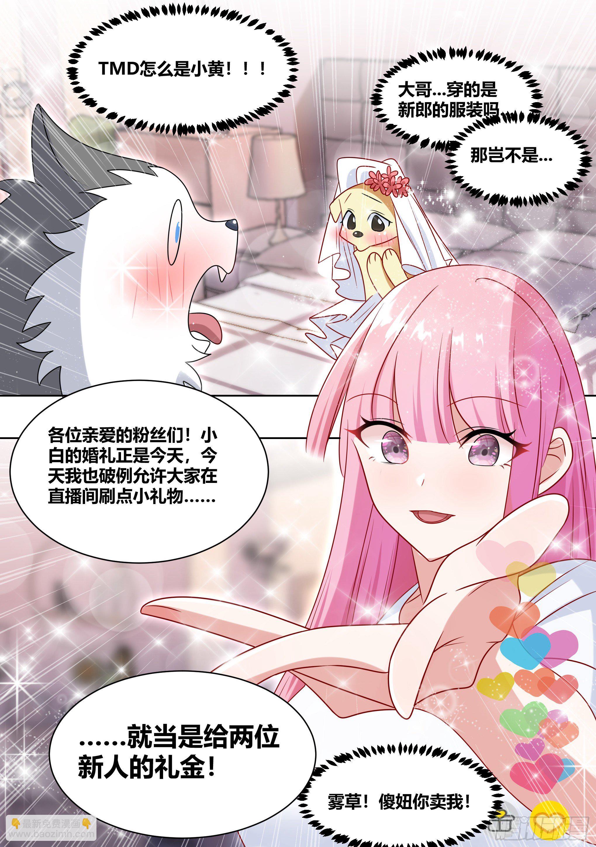 219-逃婚-第221话