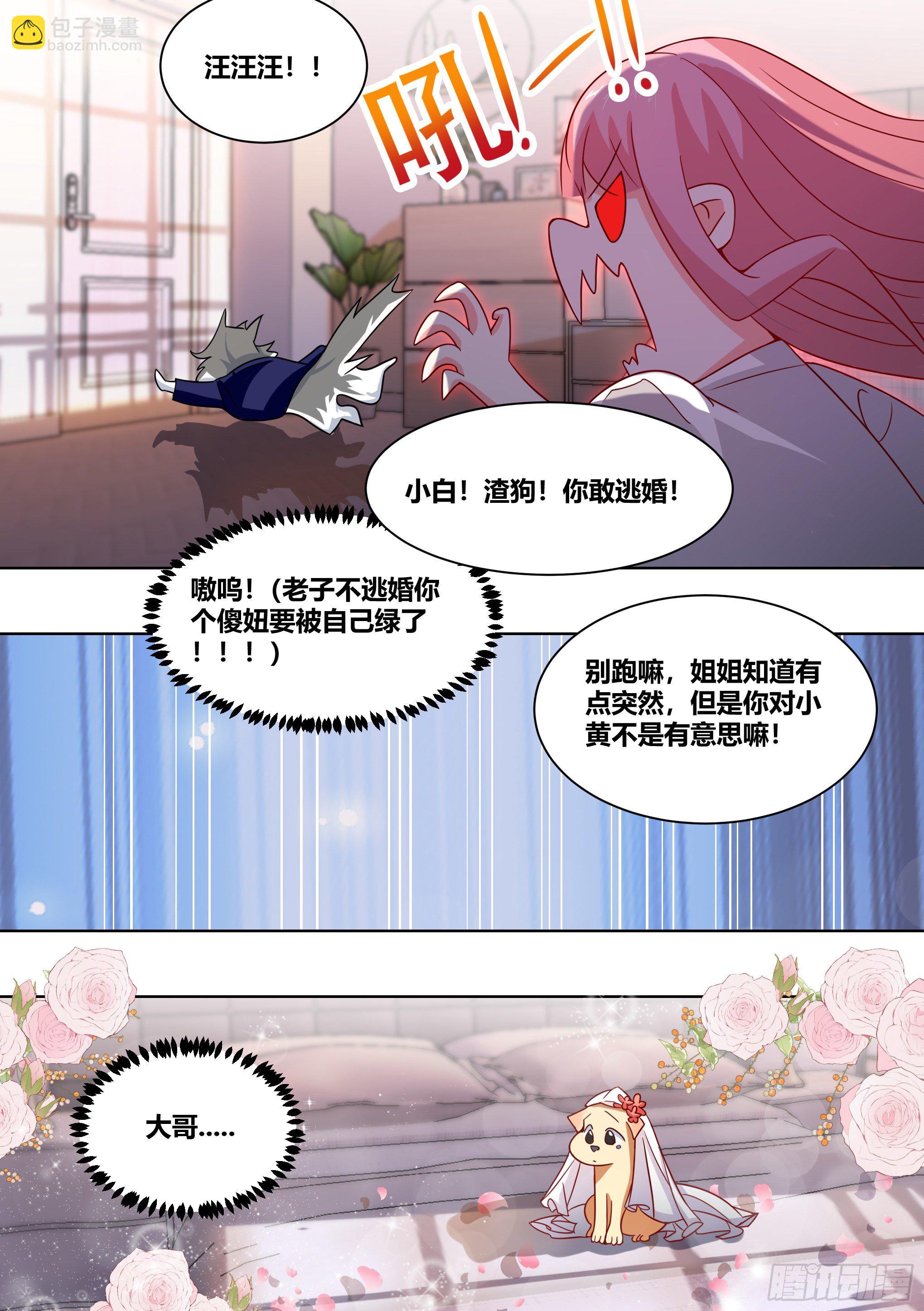 219-逃婚-第221话