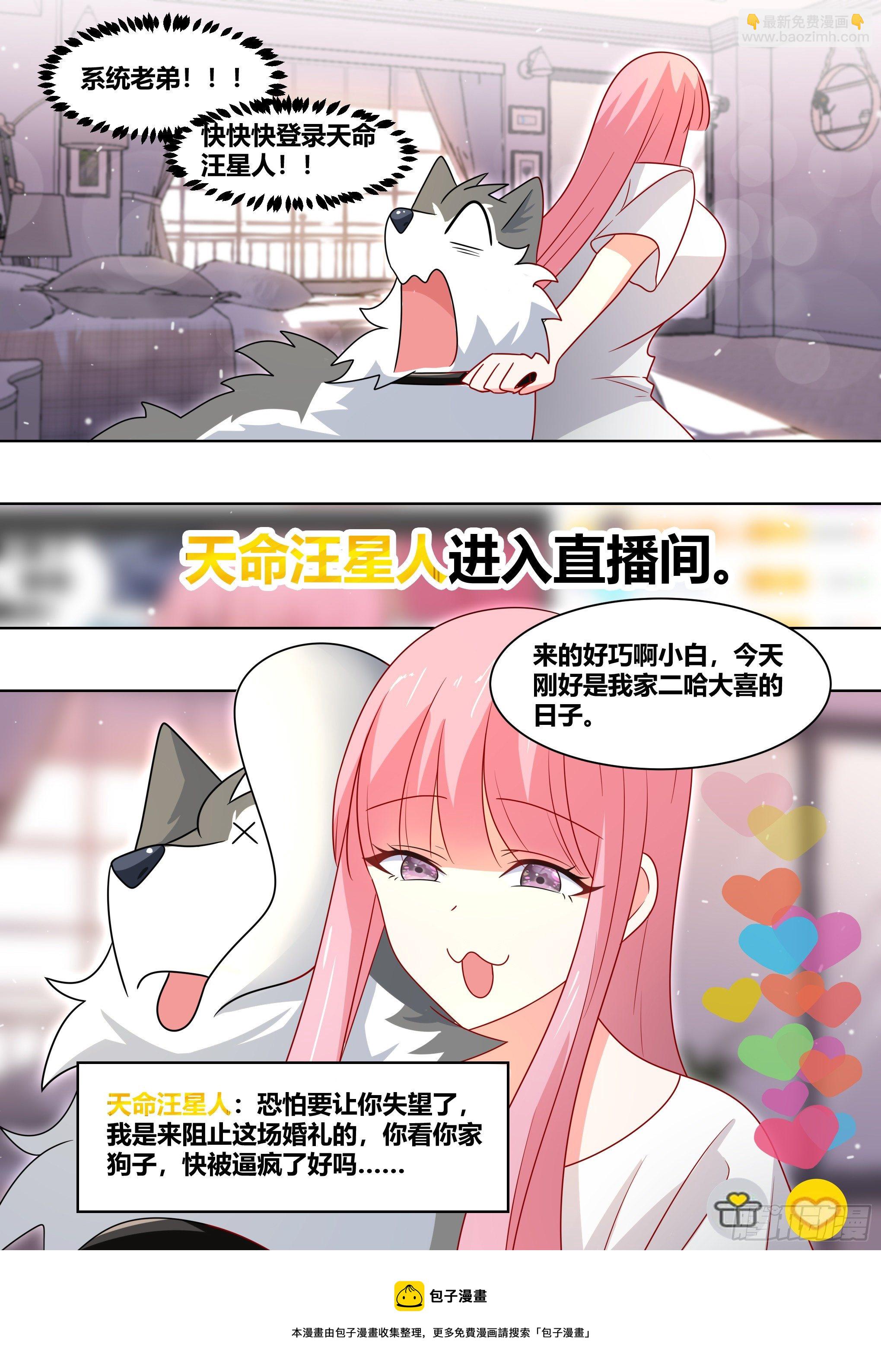 219-逃婚-第221话