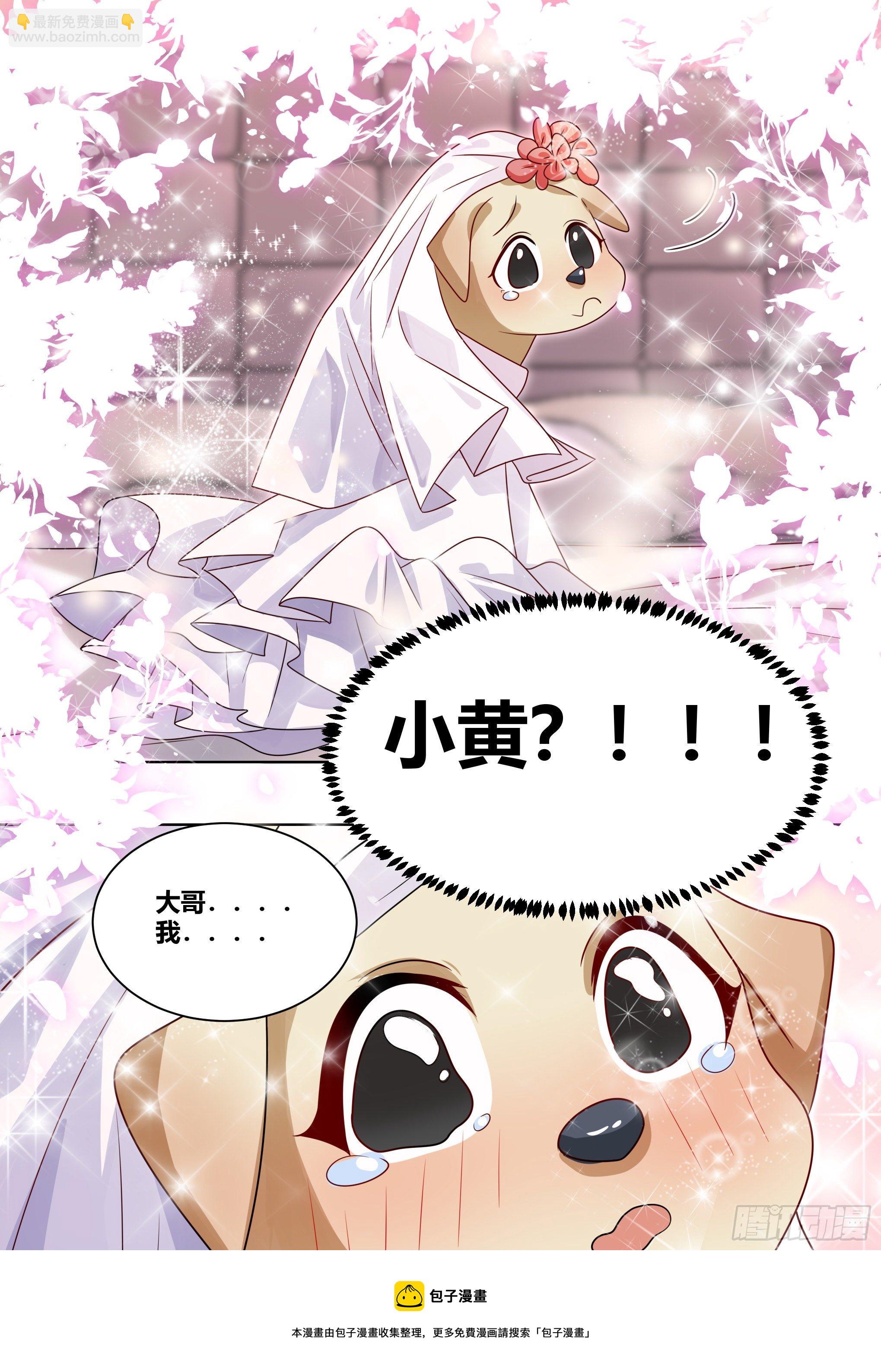 219-逃婚-第221话
