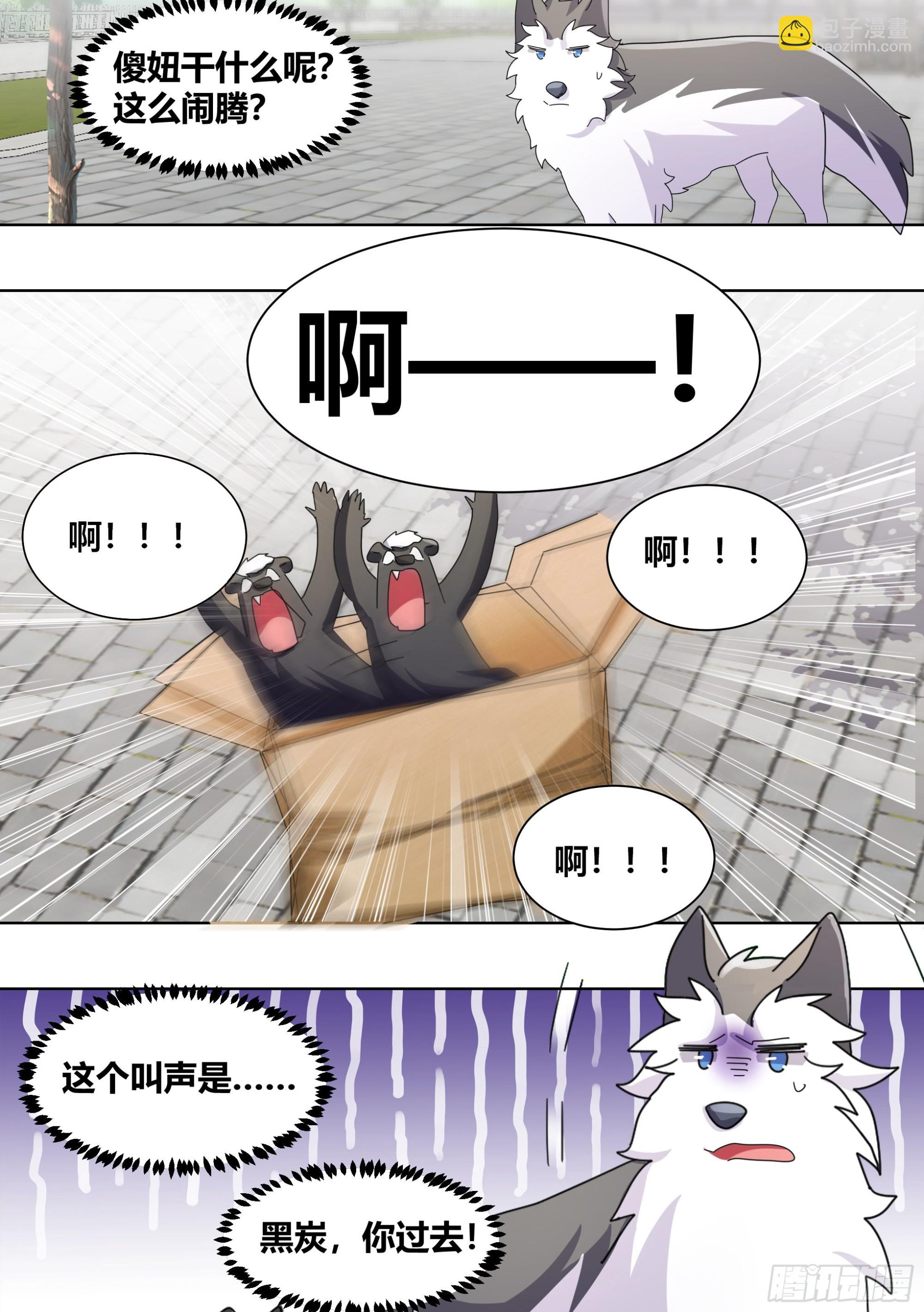 265-新人培训-第267话