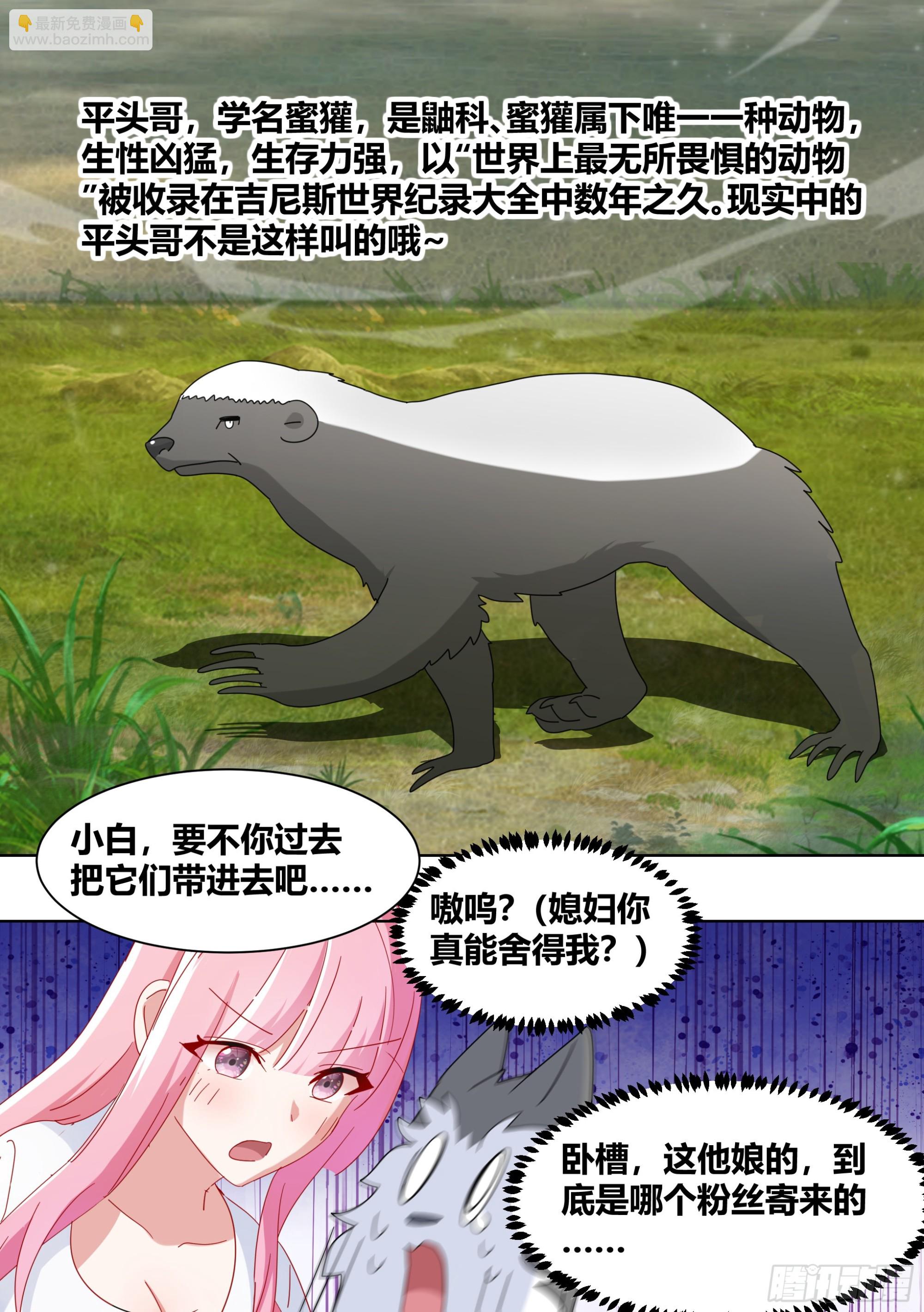 265-新人培训-第267话