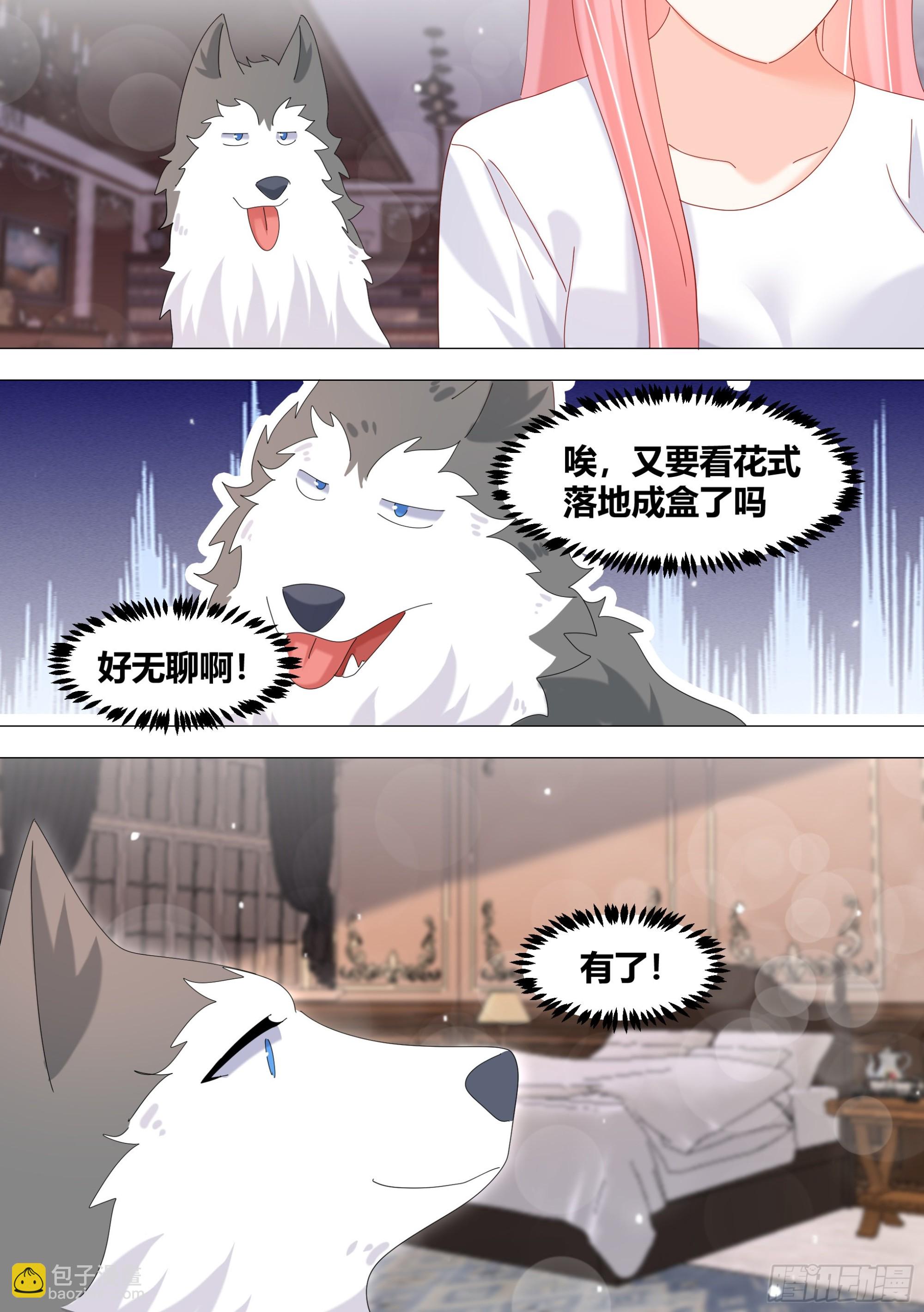 337-来点节目效果-第339话