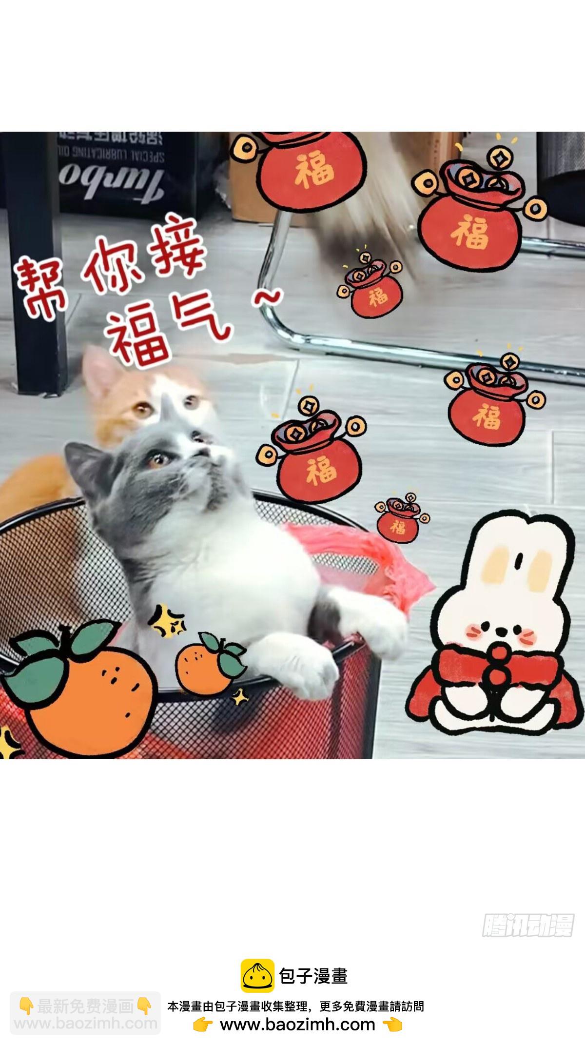 453-心态好预防谢顶-第455话