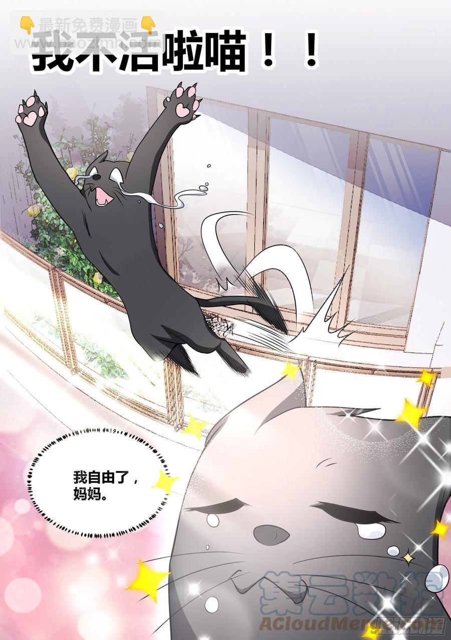 50-招财&ldquo;黑炭&rdquo;-第51话