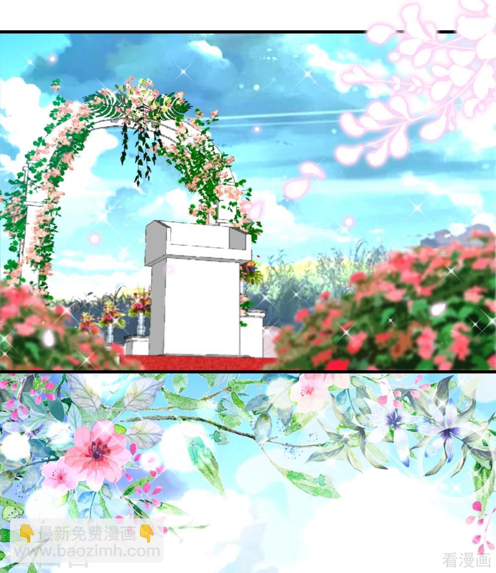 第256话 世纪婚礼-第259话