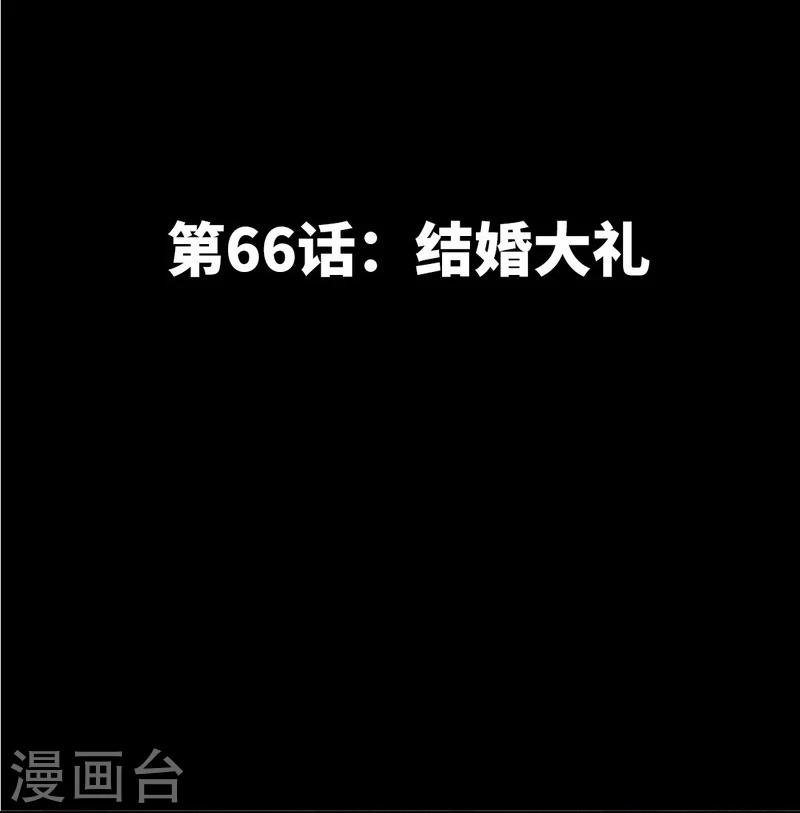 第66话 结婚大礼-第67话